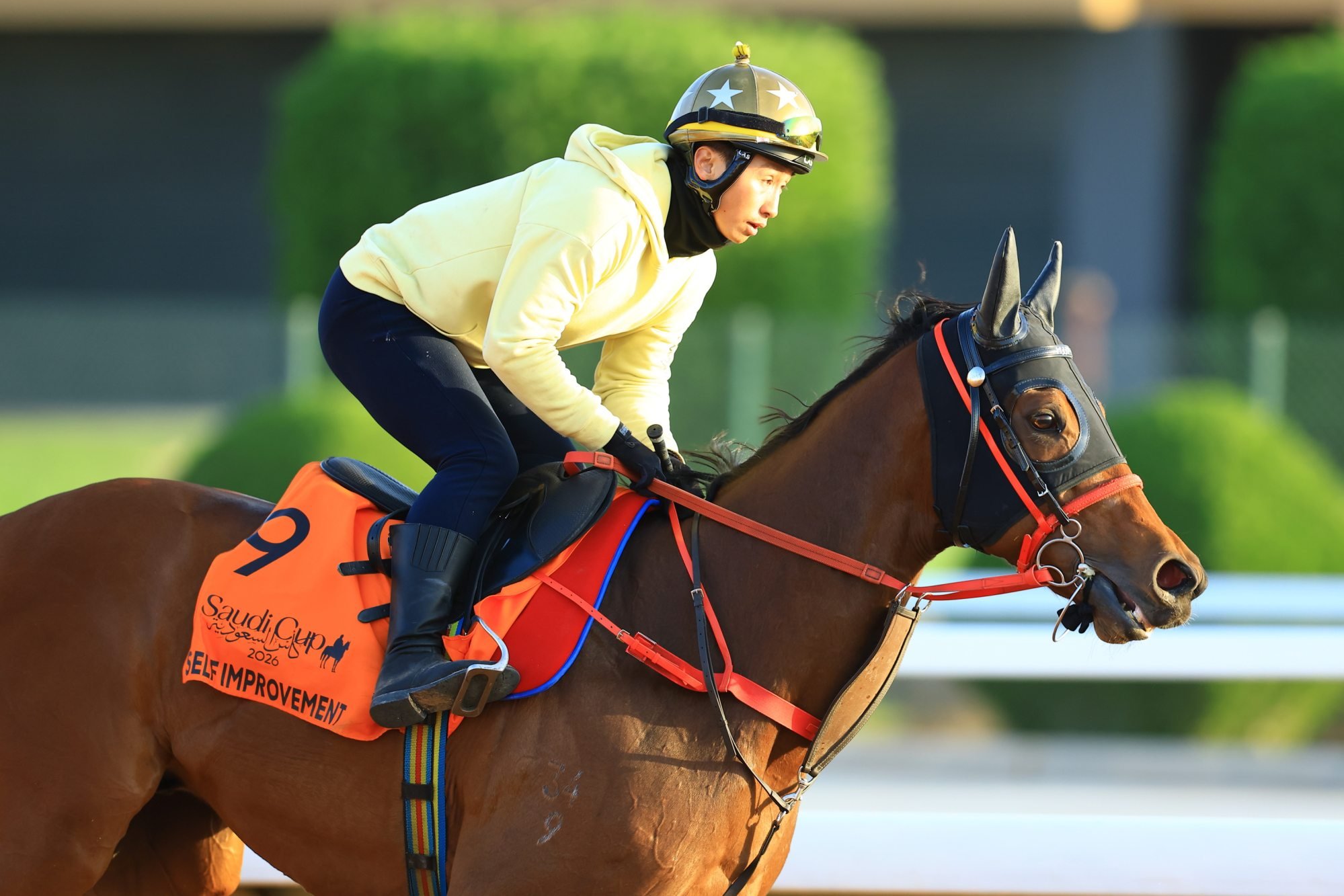 Self Improvement works on the Riyadh dirt. Photo: HKJC Self Improvement works on the Riyadh dirt. Photo: HKJC