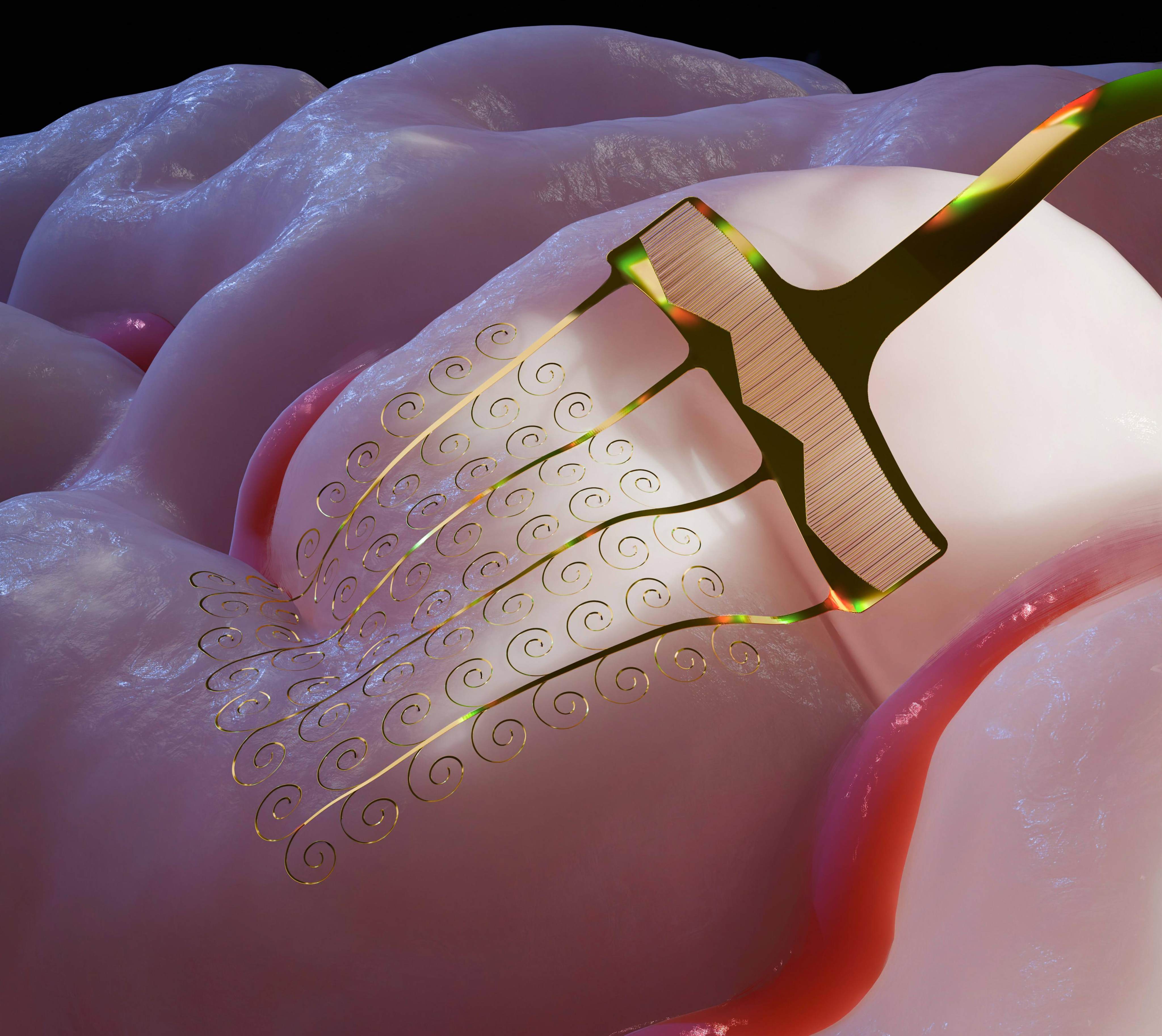 Chinese scientists said the design of their stretchable microelectrodes was inspired by the Japanese art of paper cutting. Photo: ScienceNet