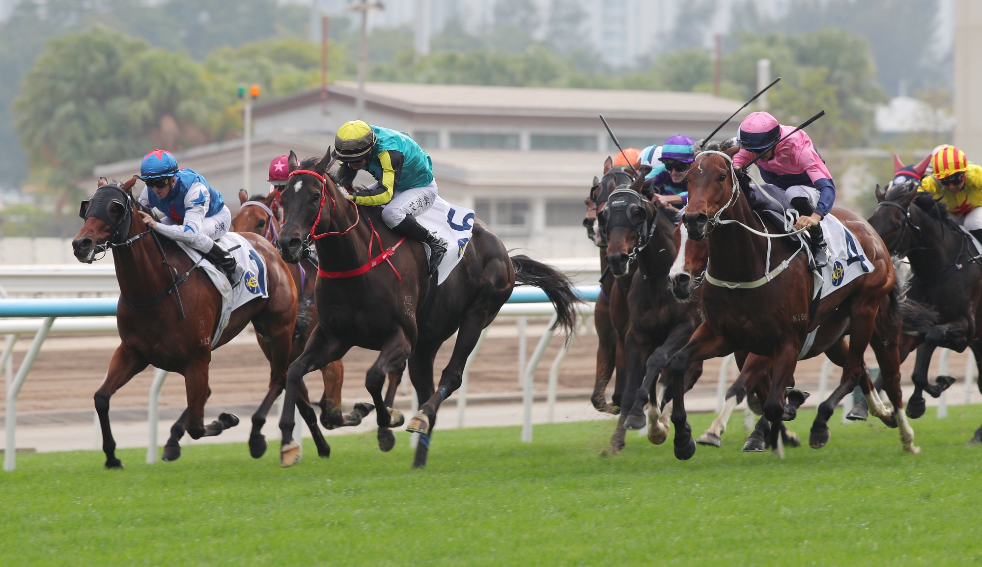 Raging Rapids (yellow cap) wins at Sha Tin on New Year’s Day. Raging Rapids (yellow cap) wins at Sha Tin on New Year’s Day.
