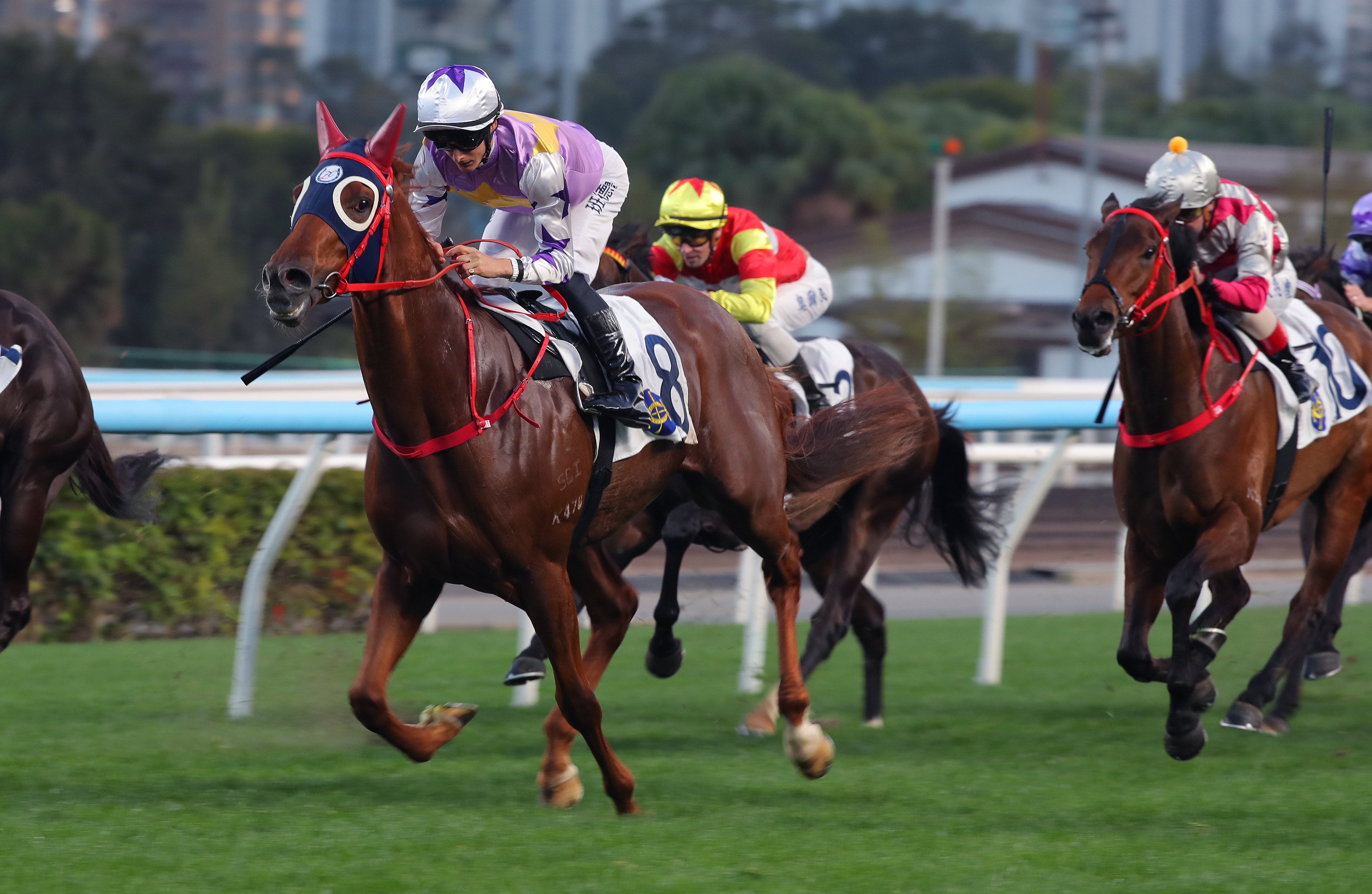 Harry Bentley boots home Stormy Grove at Sha Tin. Photos: Kenneth Chan