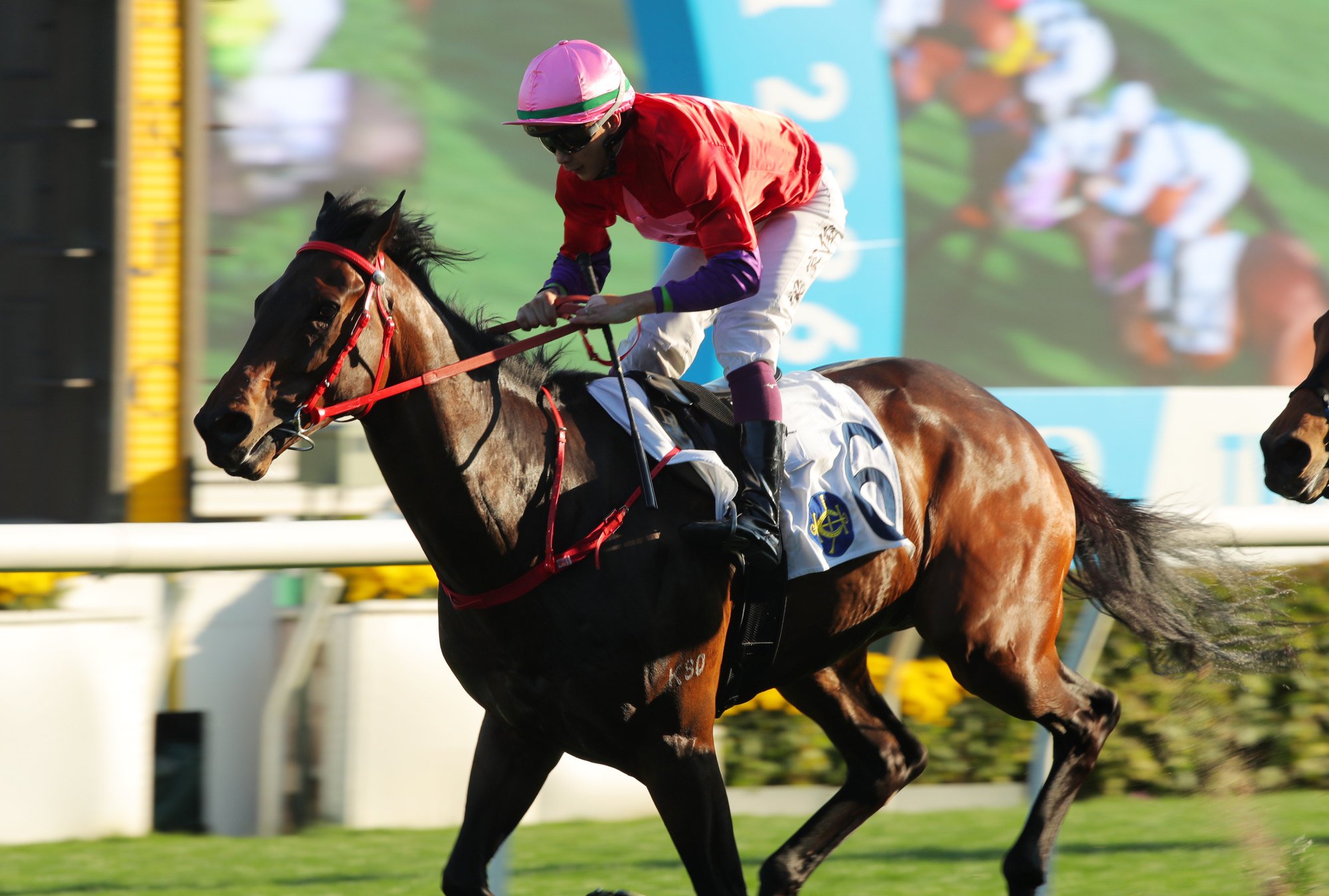 Run Run Smart scores under Derek Leung.