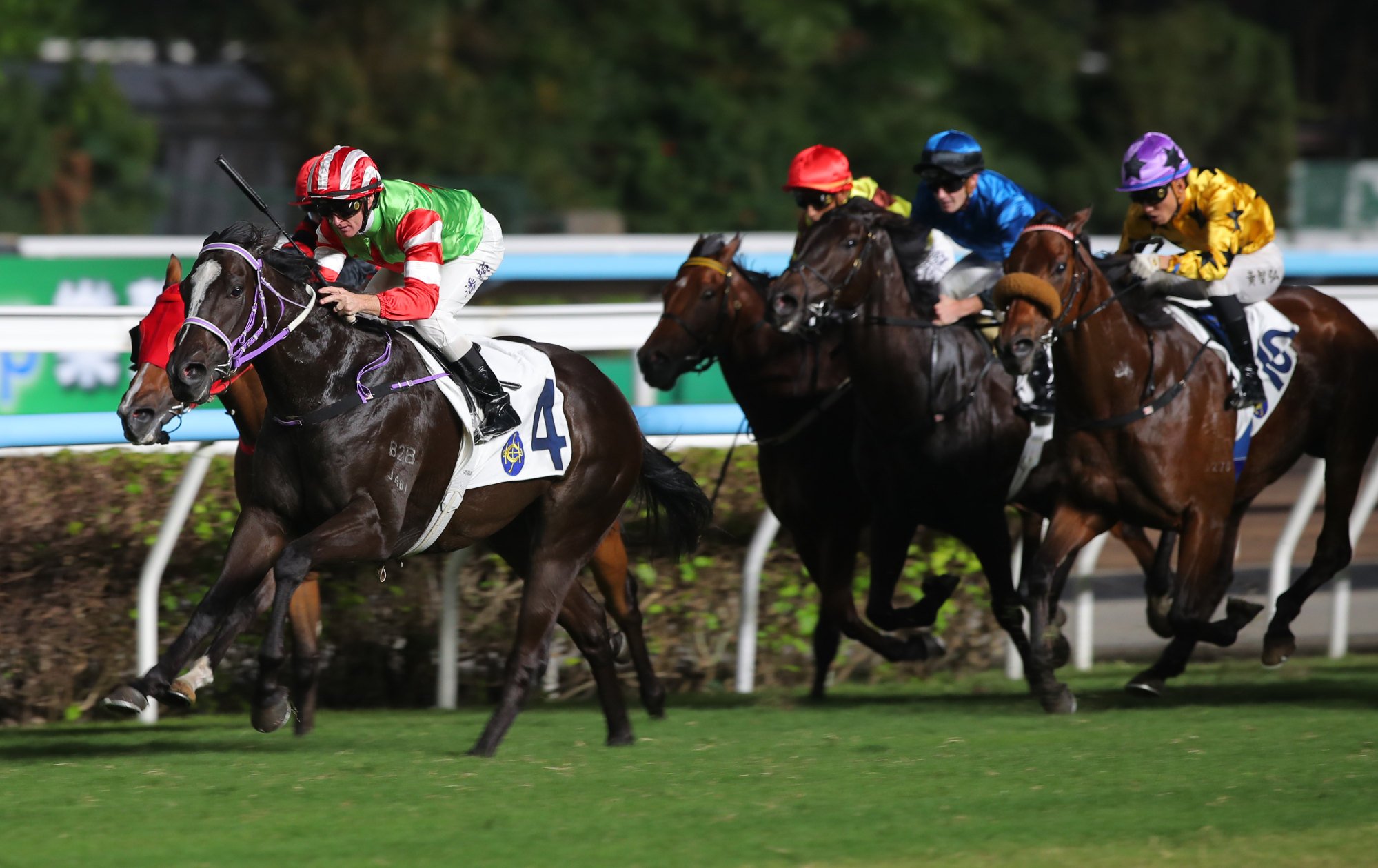 Top Dragon wins at Sha Tin in October. Top Dragon wins at Sha Tin in October.
