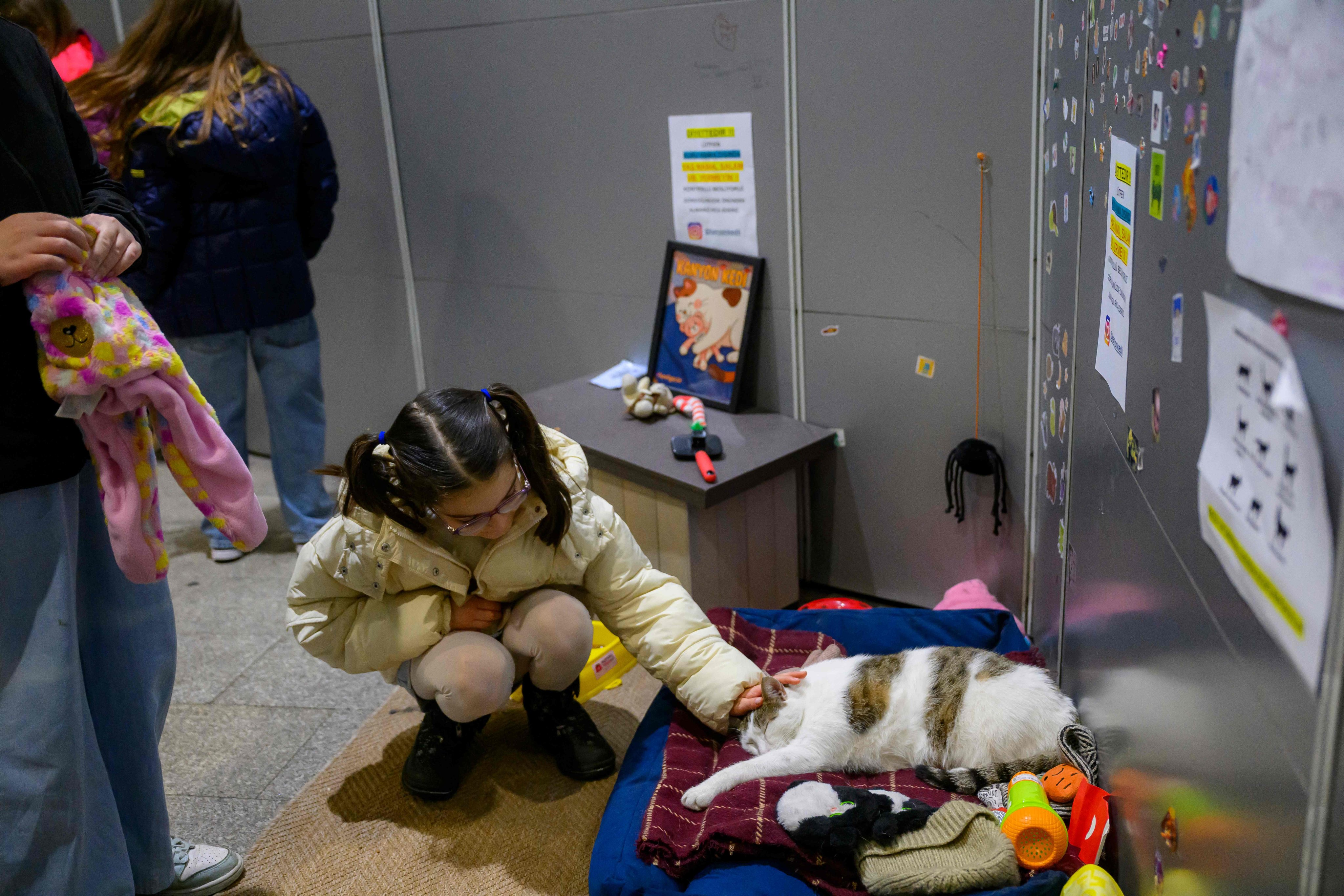 Kanyon, a white cat with grey markings, sleeps comfortably in his basket at the entrance of a shopping centre in Istanbul. Photo: AFP