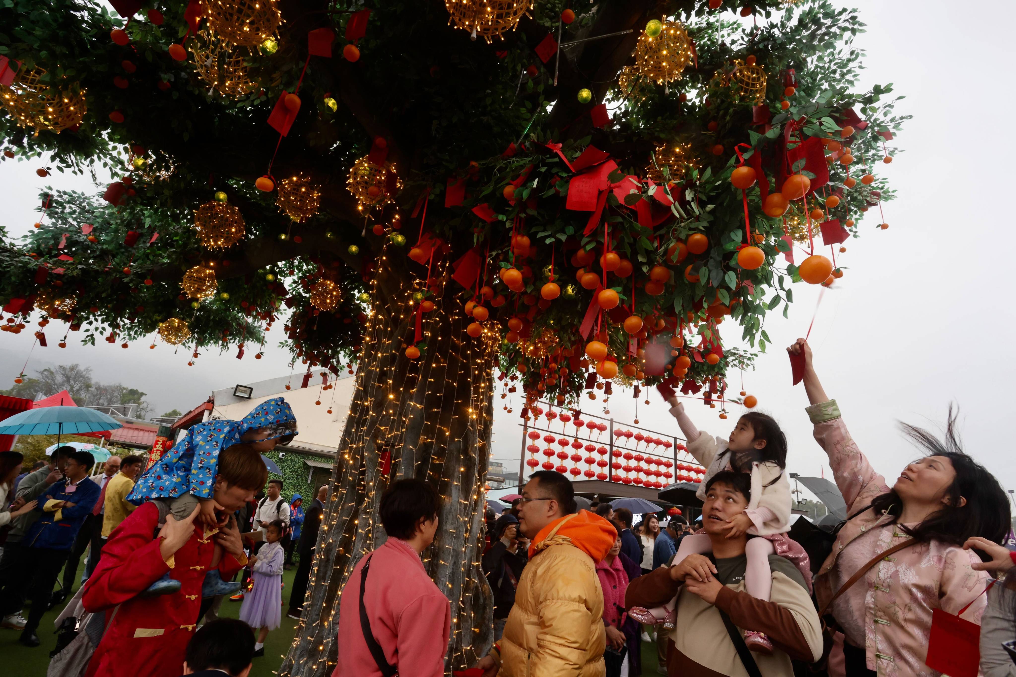 Local residents and tourists flocked to the wishing tree in Tai Po on the first day of the Lunar New Year. Photo: Jonathan Wong