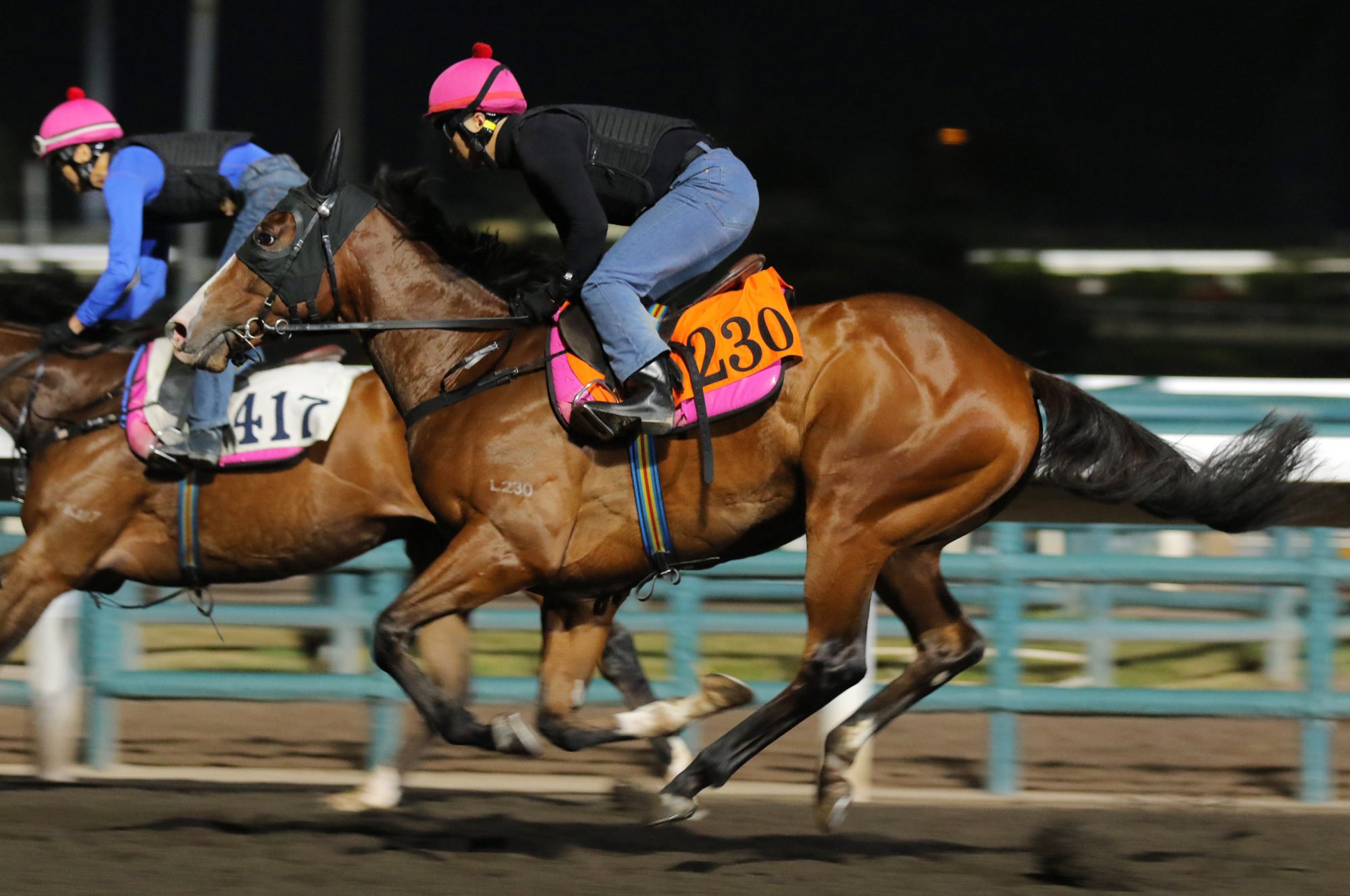 Baby Sakura galloping on the dirt.