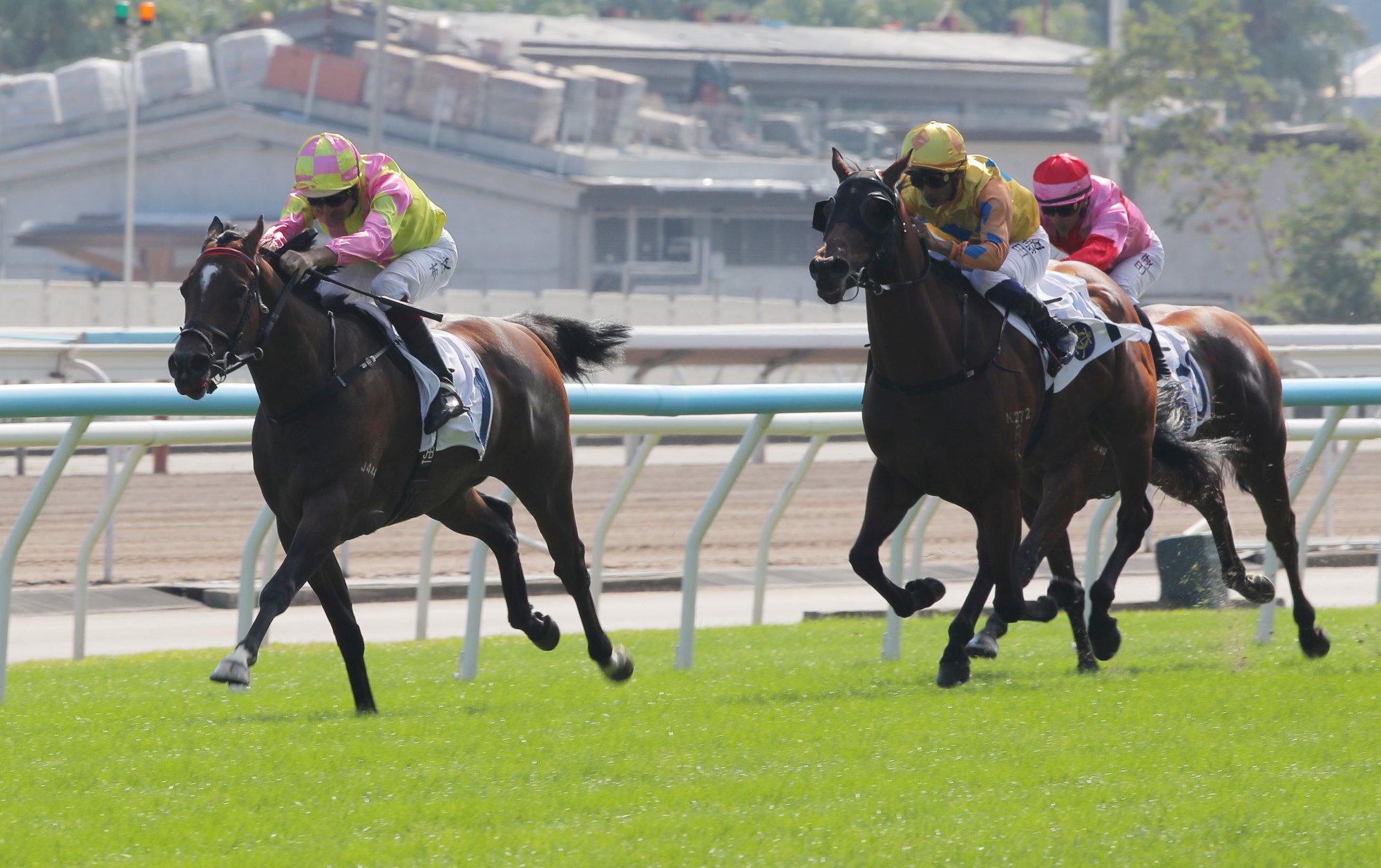 Do Your Part surges clear to win in November.