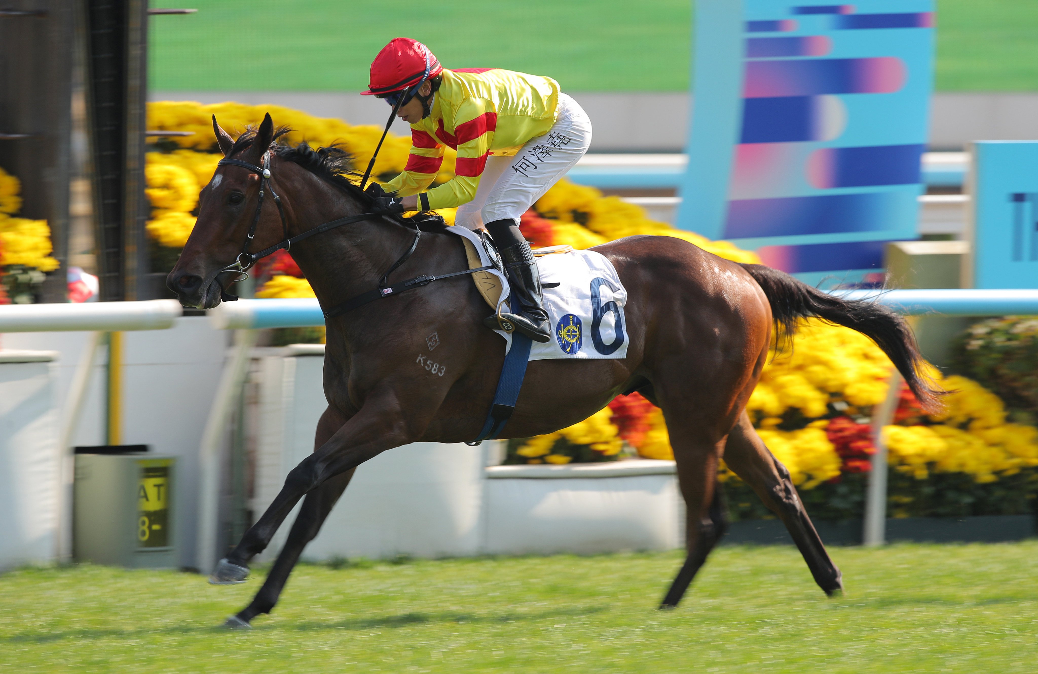 Hot Delight storms home to score on debut under Vincent Ho. Photos: Kenneth Chan