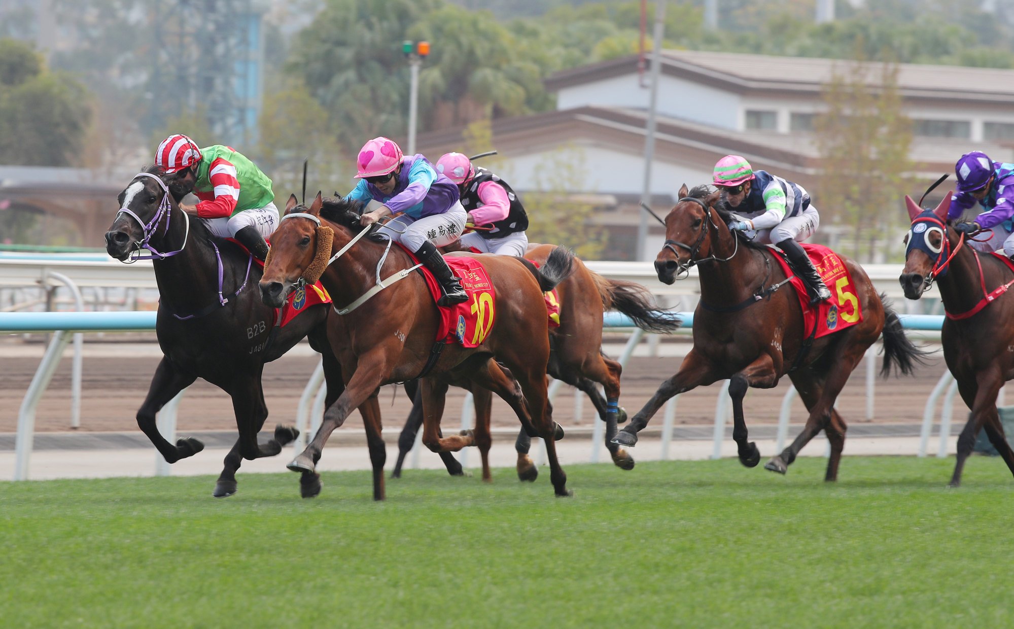 Stunning Peach and Top Dragon fight out a thrilling finish. Stunning Peach and Top Dragon fight out a thrilling finish.