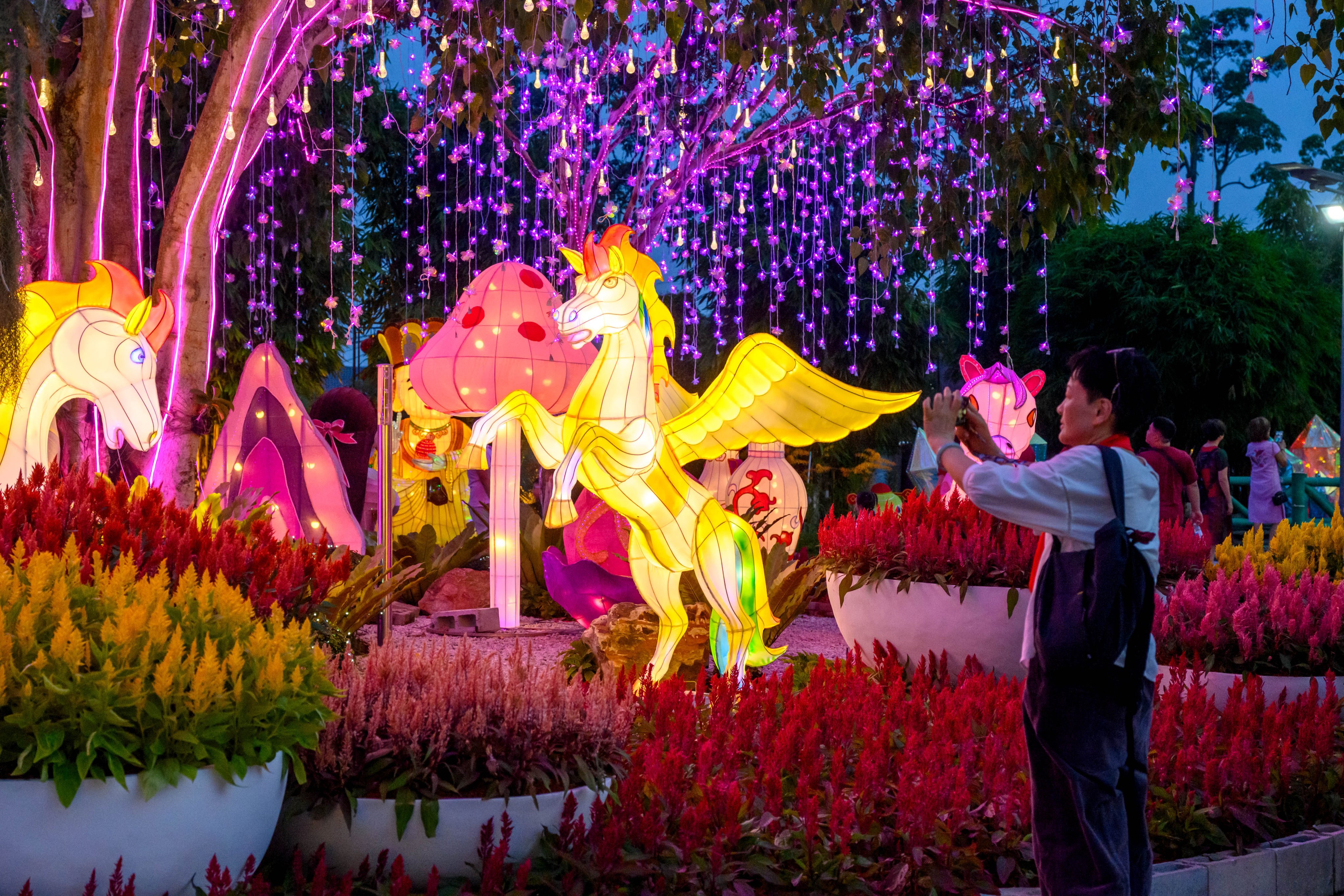 Tourists visit a lantern fair in Selangor, Malaysia, on Saturday. Photo: Xinhua