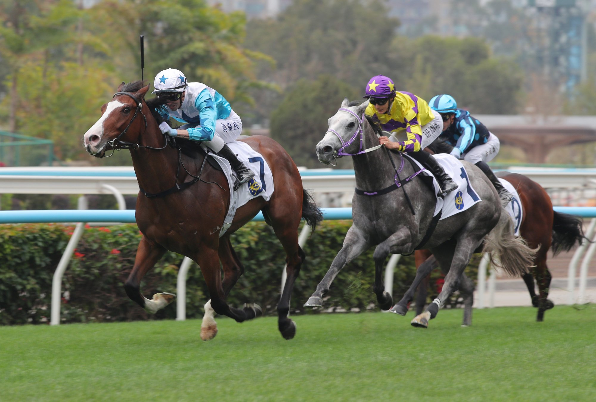 Baby Sakura wins handily. Baby Sakura wins handily.