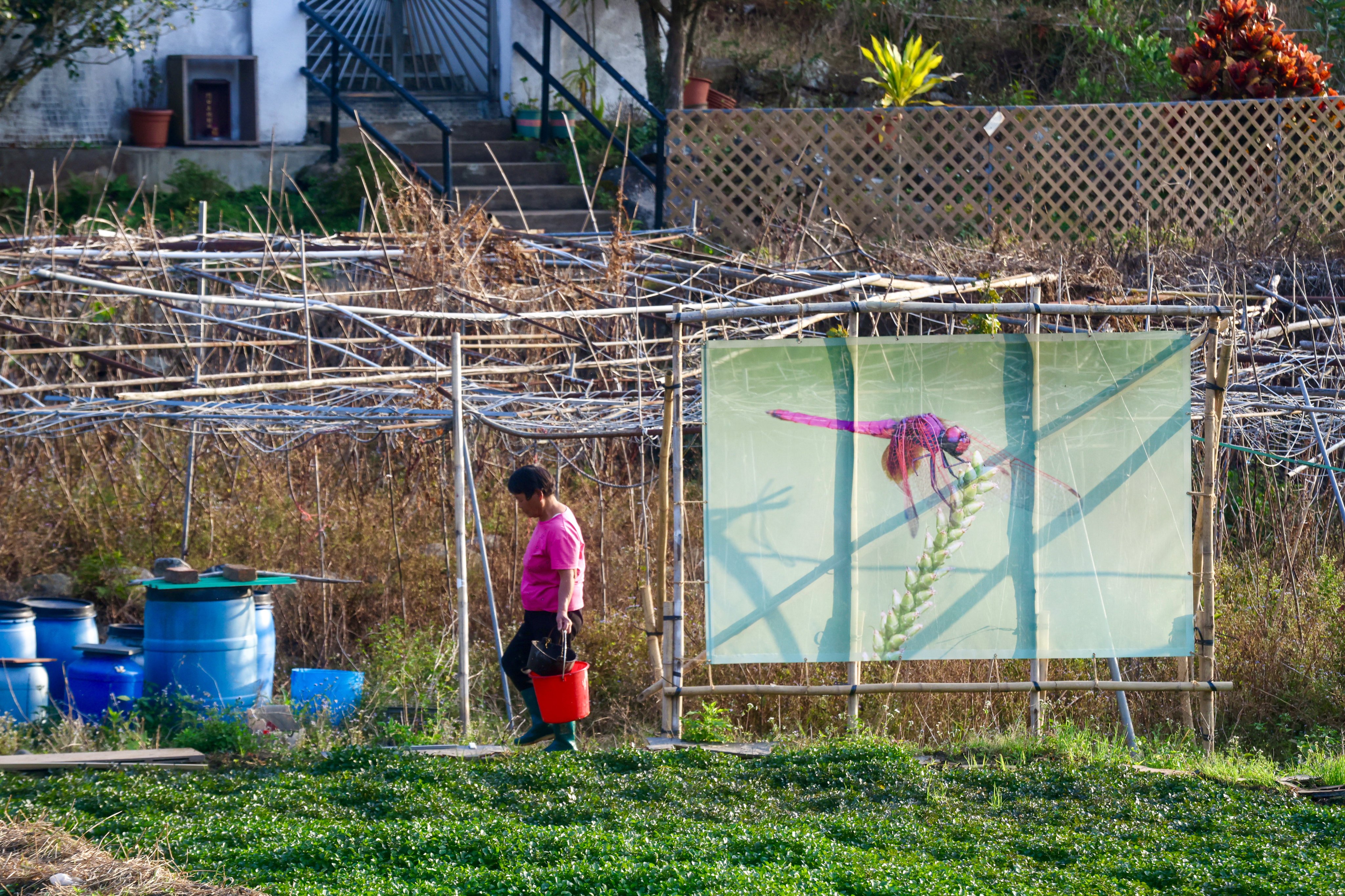The exhibition, titled “Flow With Big Mountain”, is integrated throughout Chuen Lung Village. Photo: Jonathan Wong