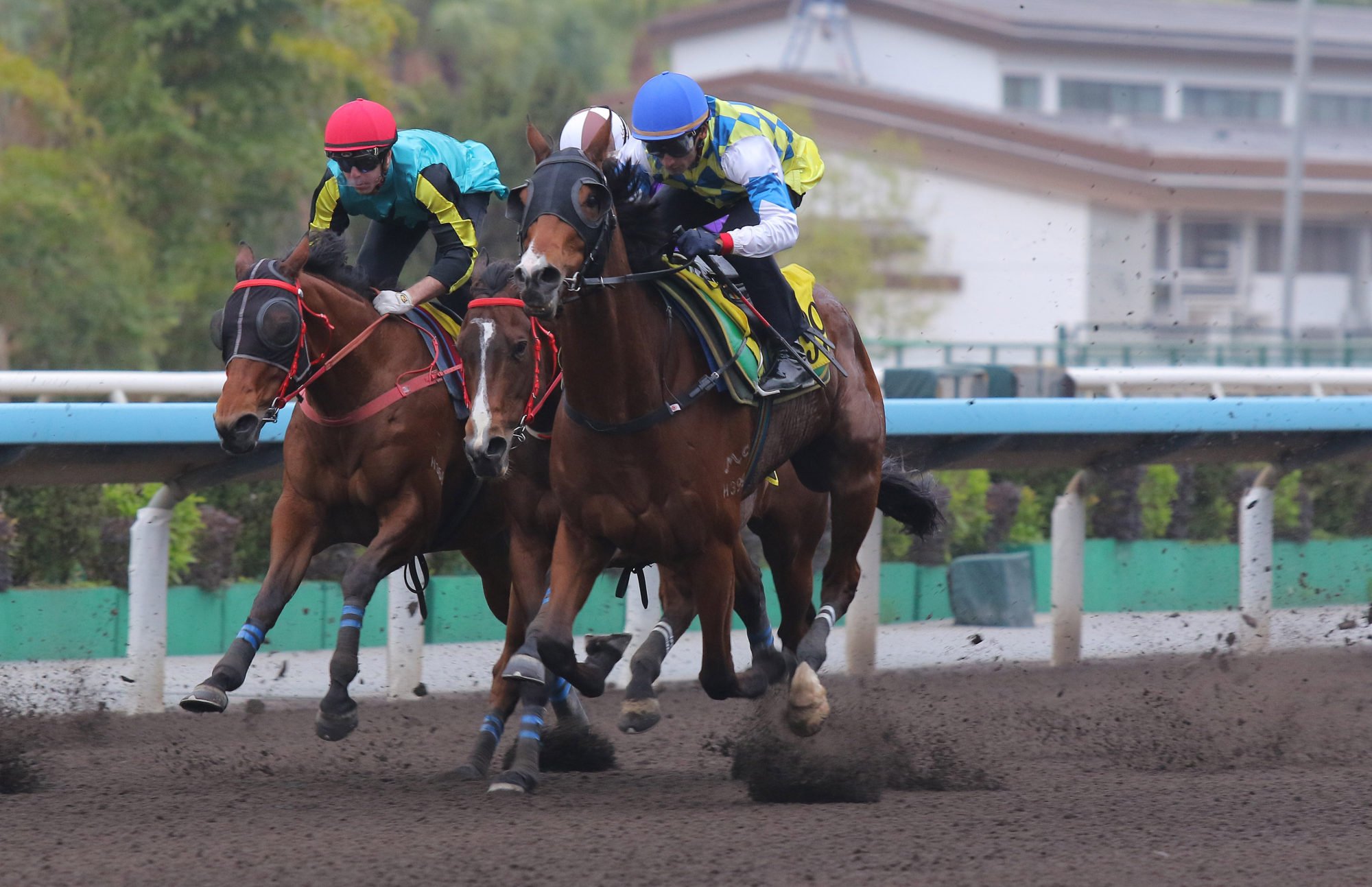 Galaxy Patch trials under Karis Teetan last week. Galaxy Patch trials under Karis Teetan last week.