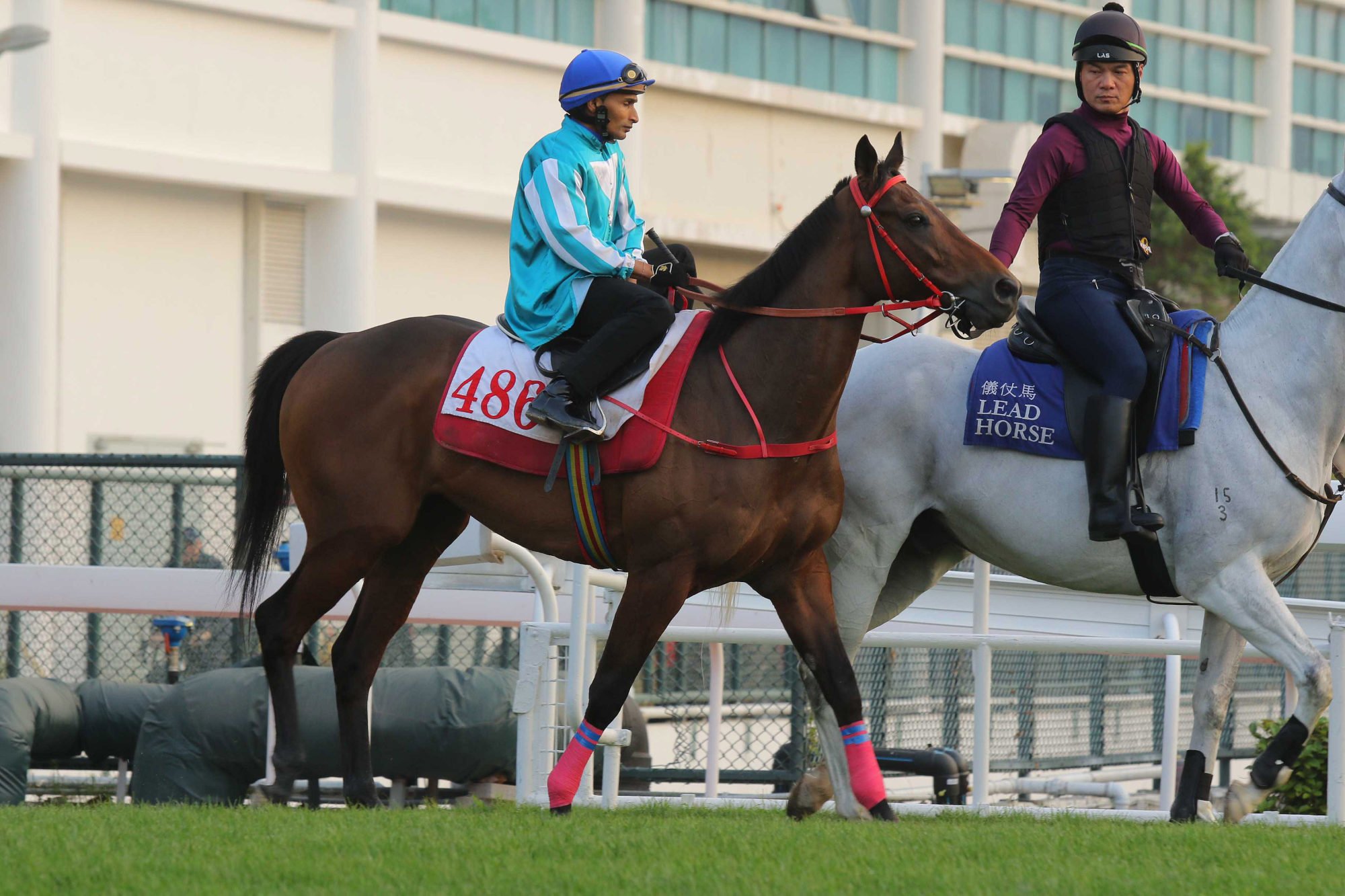 Karis Teetan and Romantic Warrior head out onto the Sha Tin turf. Karis Teetan and Romantic Warrior head out onto the Sha Tin turf.