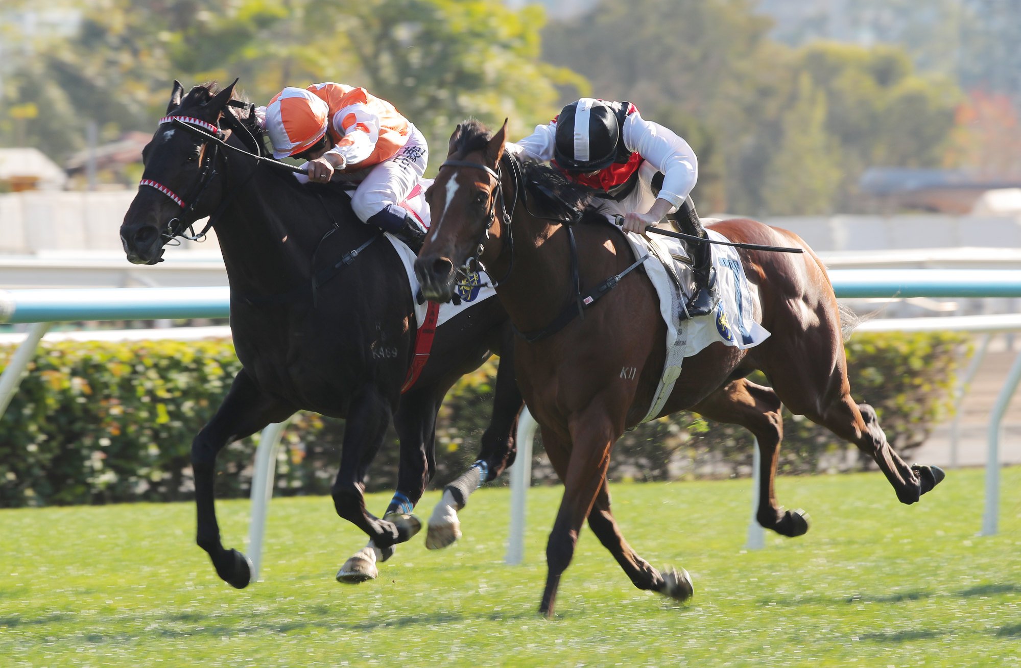 Luke Ferraris boots home Young Emperor (outside) last month. Luke Ferraris boots home Young Emperor (outside) last month.