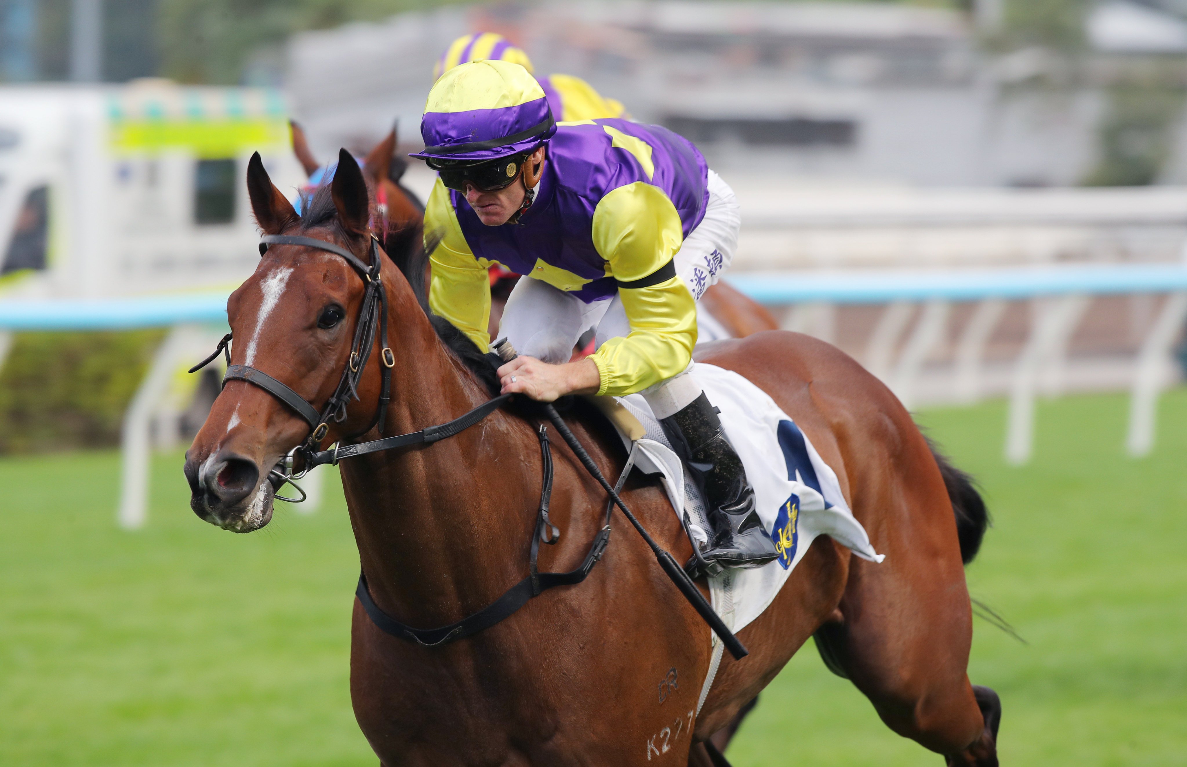 Colourful King bolts in up the Sha Tin straight under Zac Purton in November. Photos: Kenneth Chan