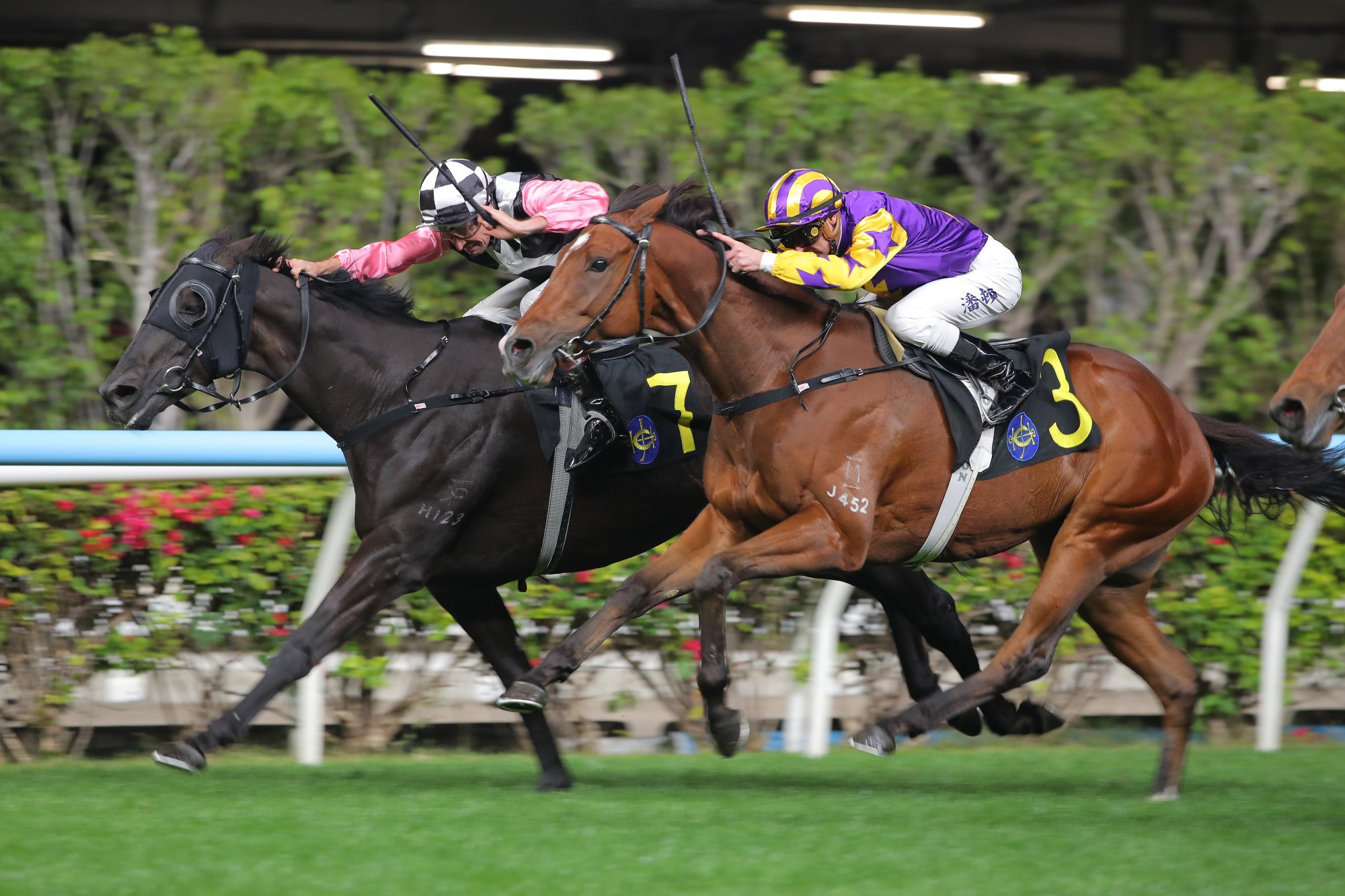 Beauty Missile scuttles up the rail to win at Sha Tin. Beauty Missile scuttles up the rail to win at Sha Tin.