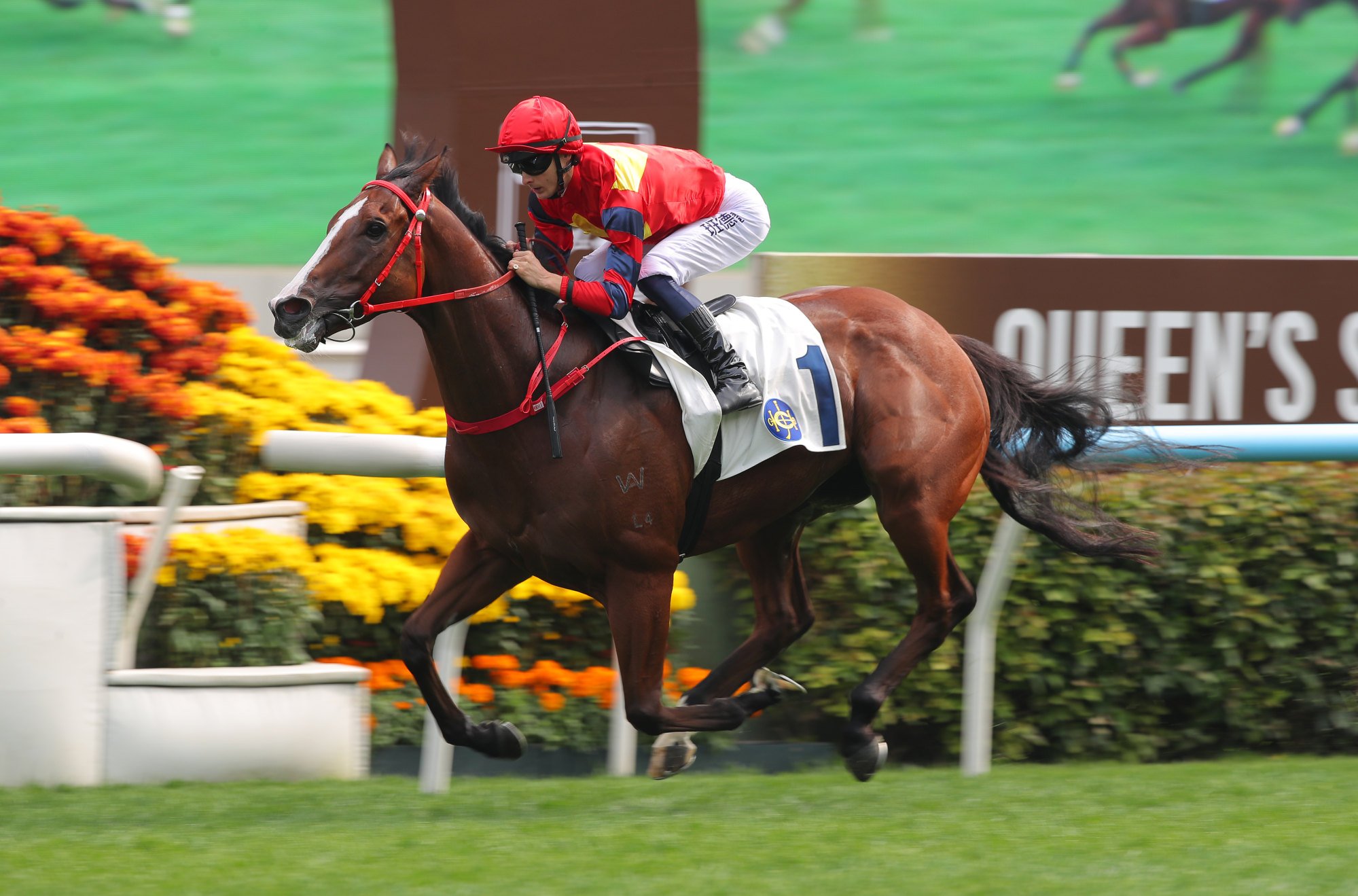 Smart Golf bolts in under Harry Bentley. Smart Golf bolts in under Harry Bentley.