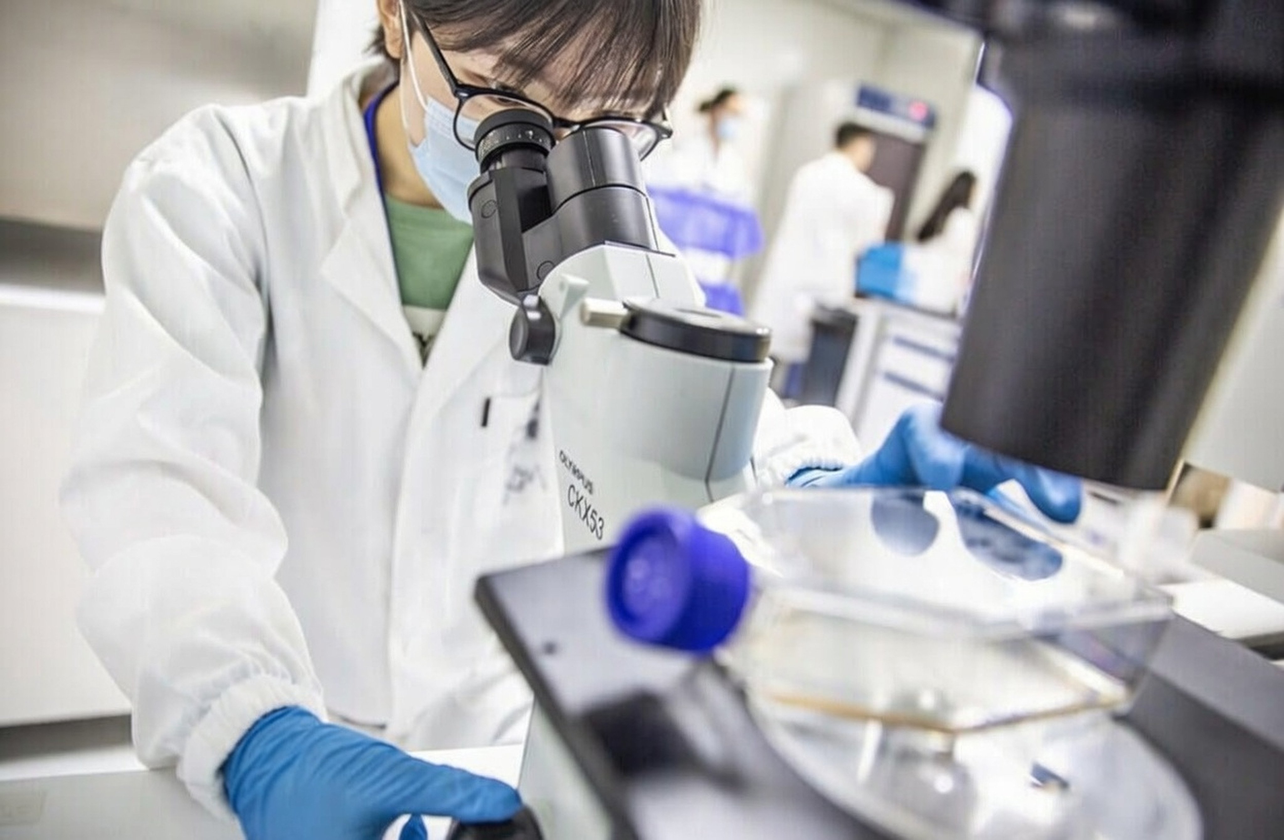 Harbour BioMed’s antibody programme focuses on tumour-killing effects. Photo: Handout