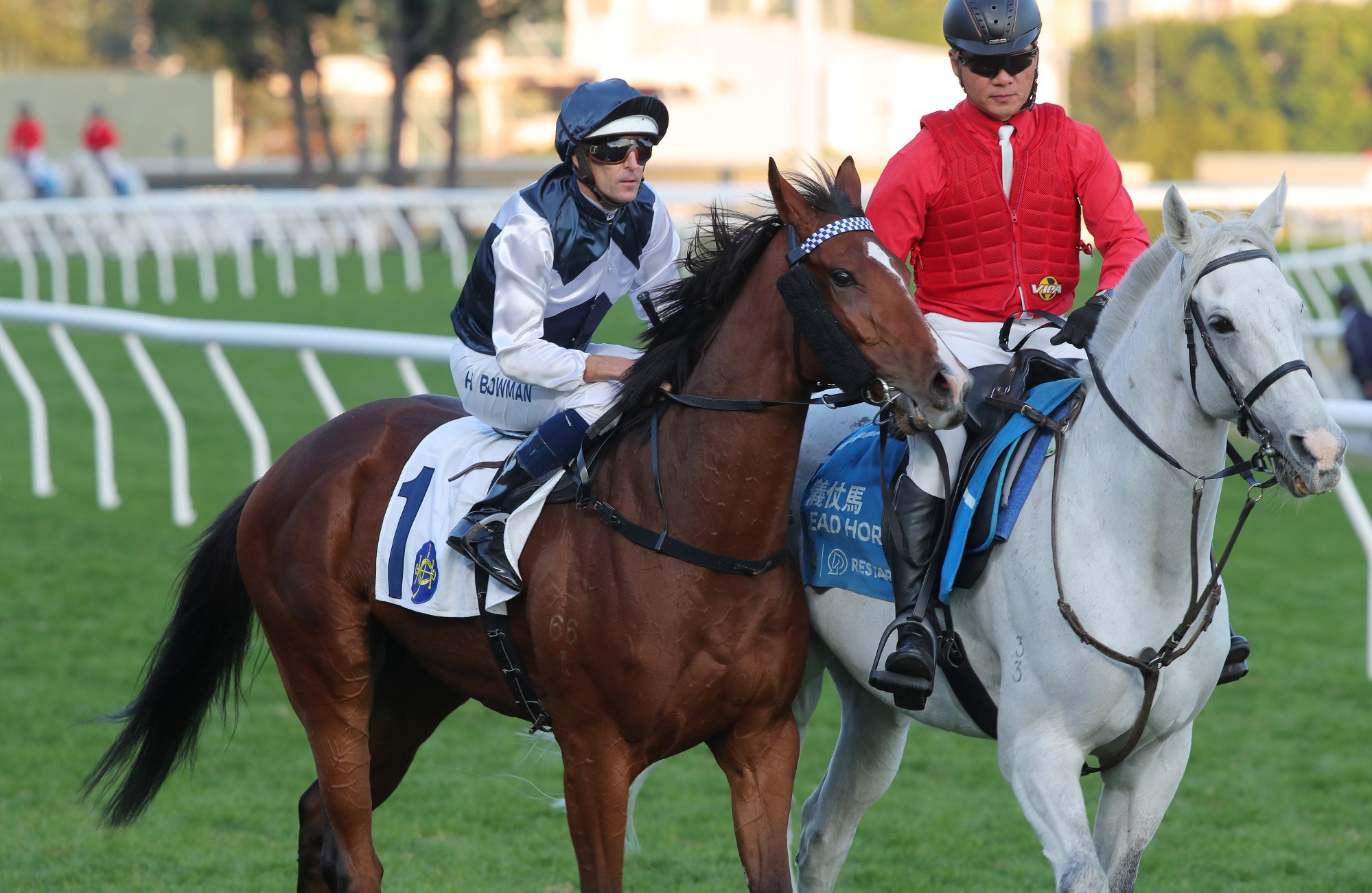 Invincible Ibis won four consecutive races before the Classic Mile.