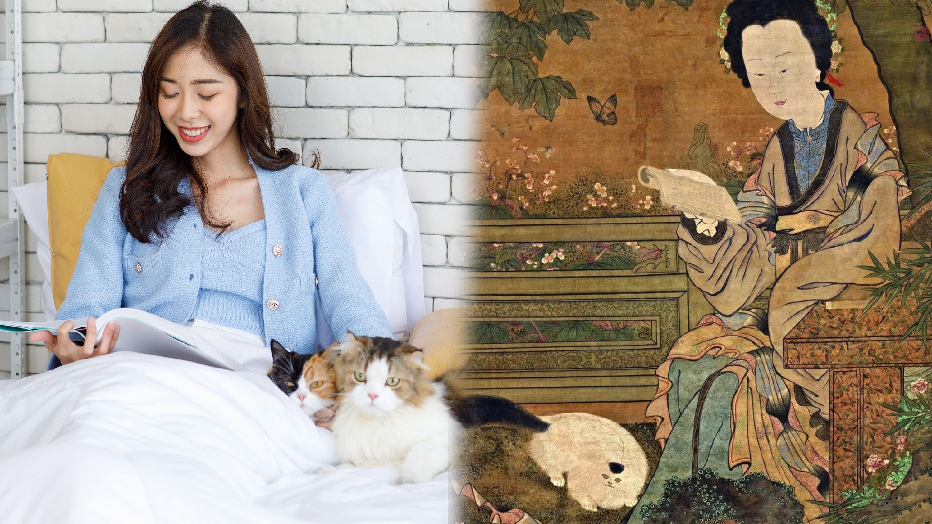 In ancient China, the process of bringing a cat home to raise as a pet was similar to marriage and required a formal betrothal. Photo: SCMP composite/Shutterstock/Baidu