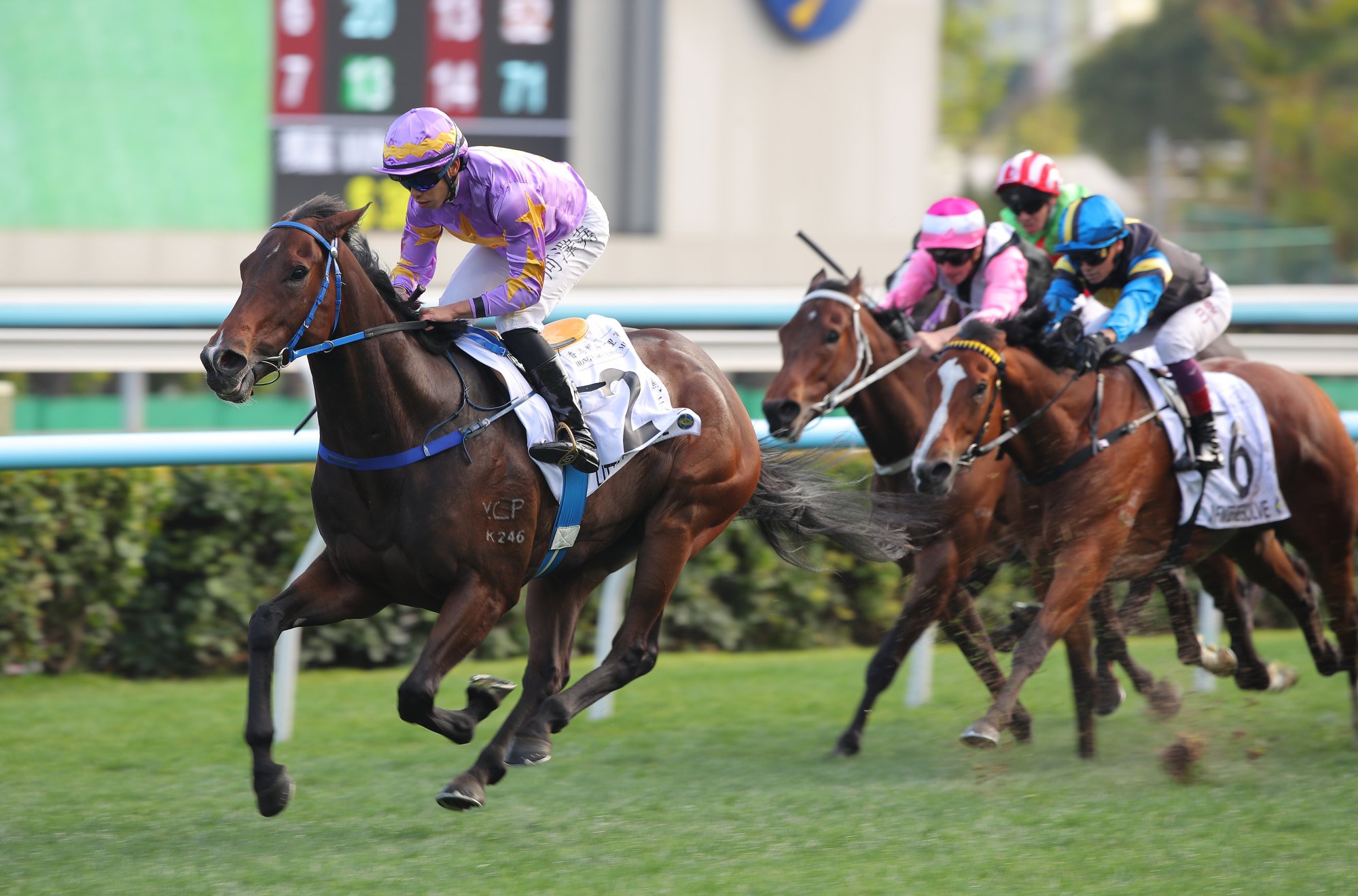 Little Paradise surges to victory in the Classic Mile. Little Paradise surges to victory in the Classic Mile.