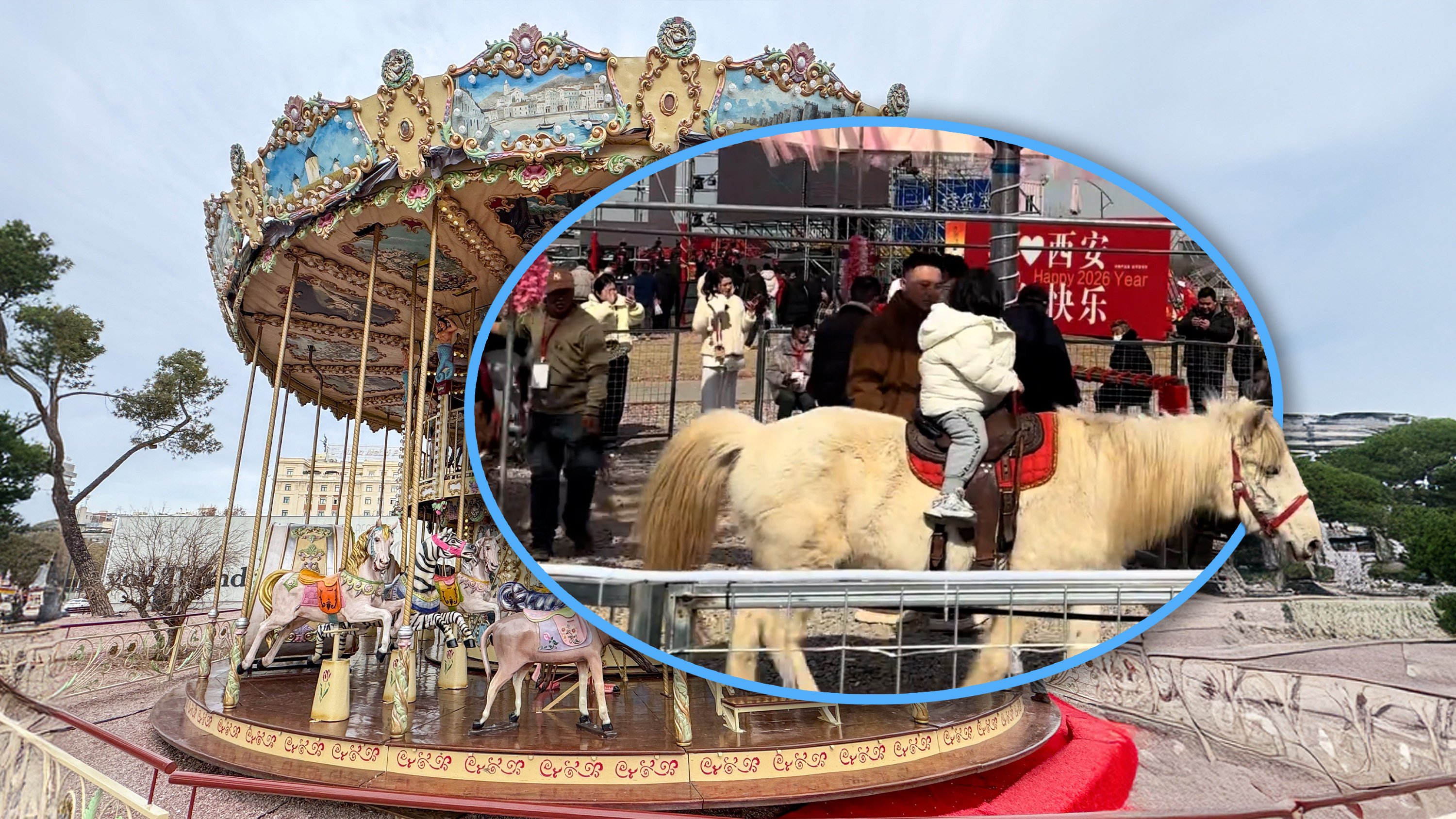 A scenic spot in China has stirred outrage for featuring real horses in a carousel ride, raising concerns about animal welfare and public safety. Photo: SCMP composite/Shutterstock/Douyin