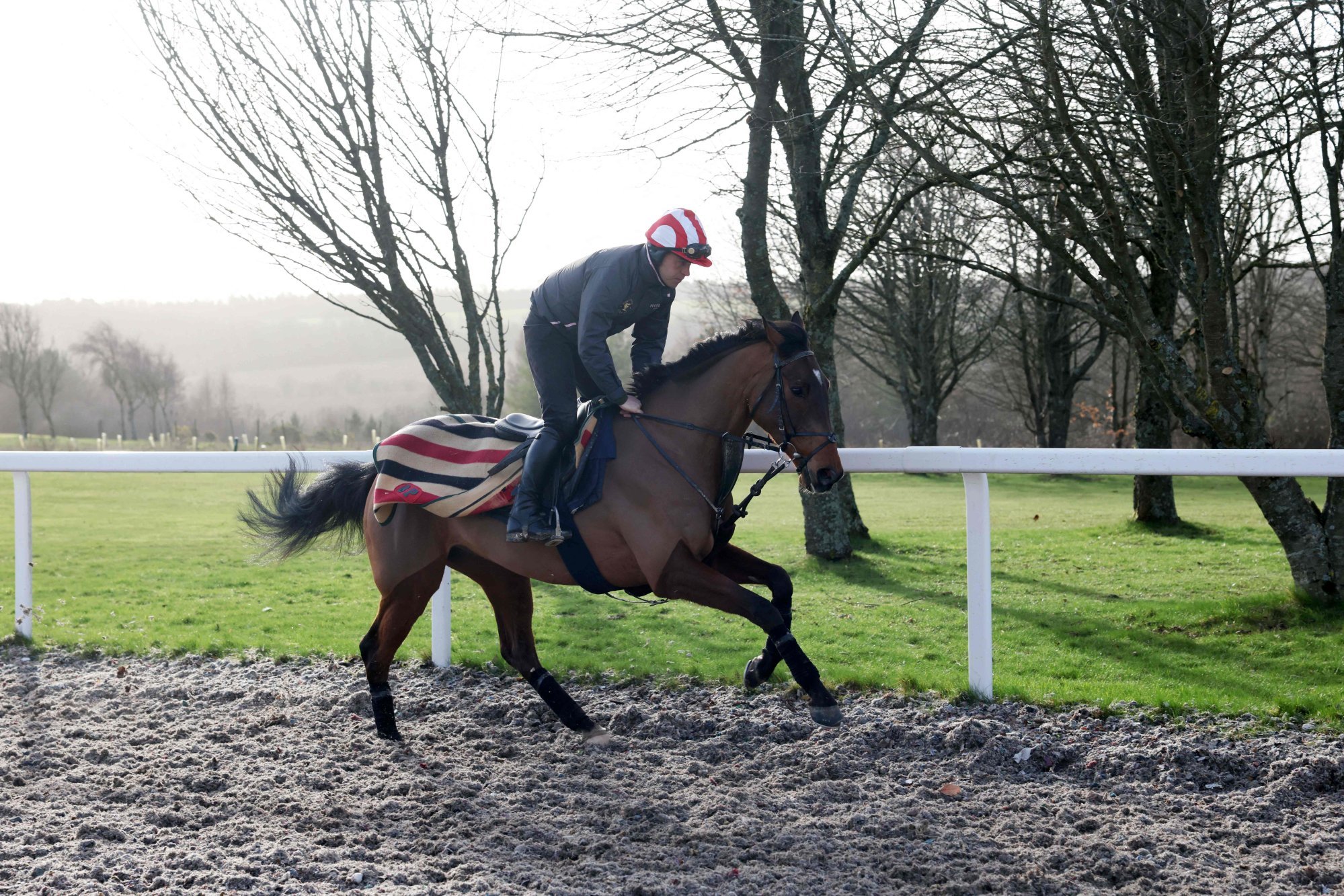 Cheltenham Gold Cup hopeful The Jukebox Man is trained by Ben Pauling. Photo: AFP Cheltenham Gold Cup hopeful The Jukebox Man is trained by Ben Pauling. Photo: AFP