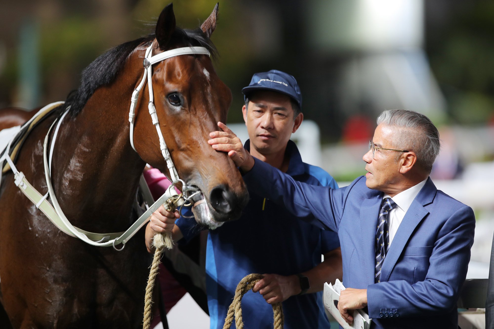 Tony Cruz gives Beauty Bolt a pat after his most recent win. Tony Cruz gives Beauty Bolt a pat after his most recent win.