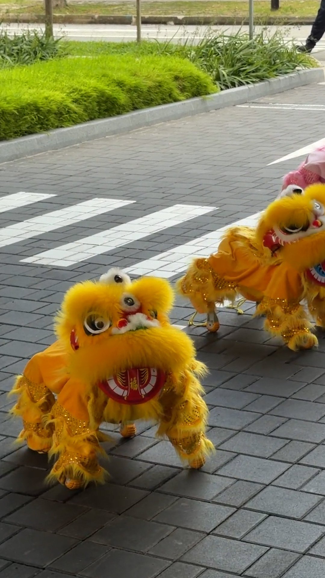 Lion dancing robot dogs