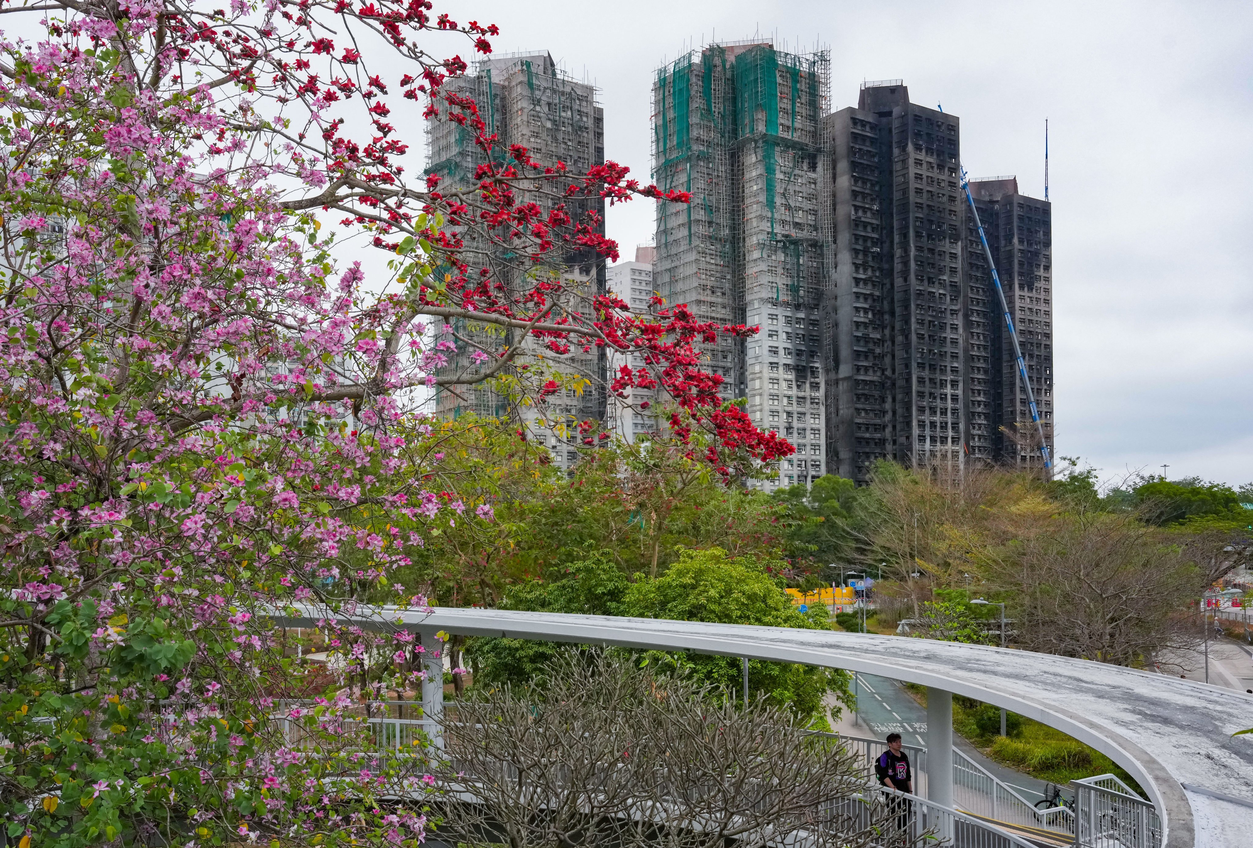 The fire last November tore through seven of the eight residential towers at the estate. Photo: Jelly Tse