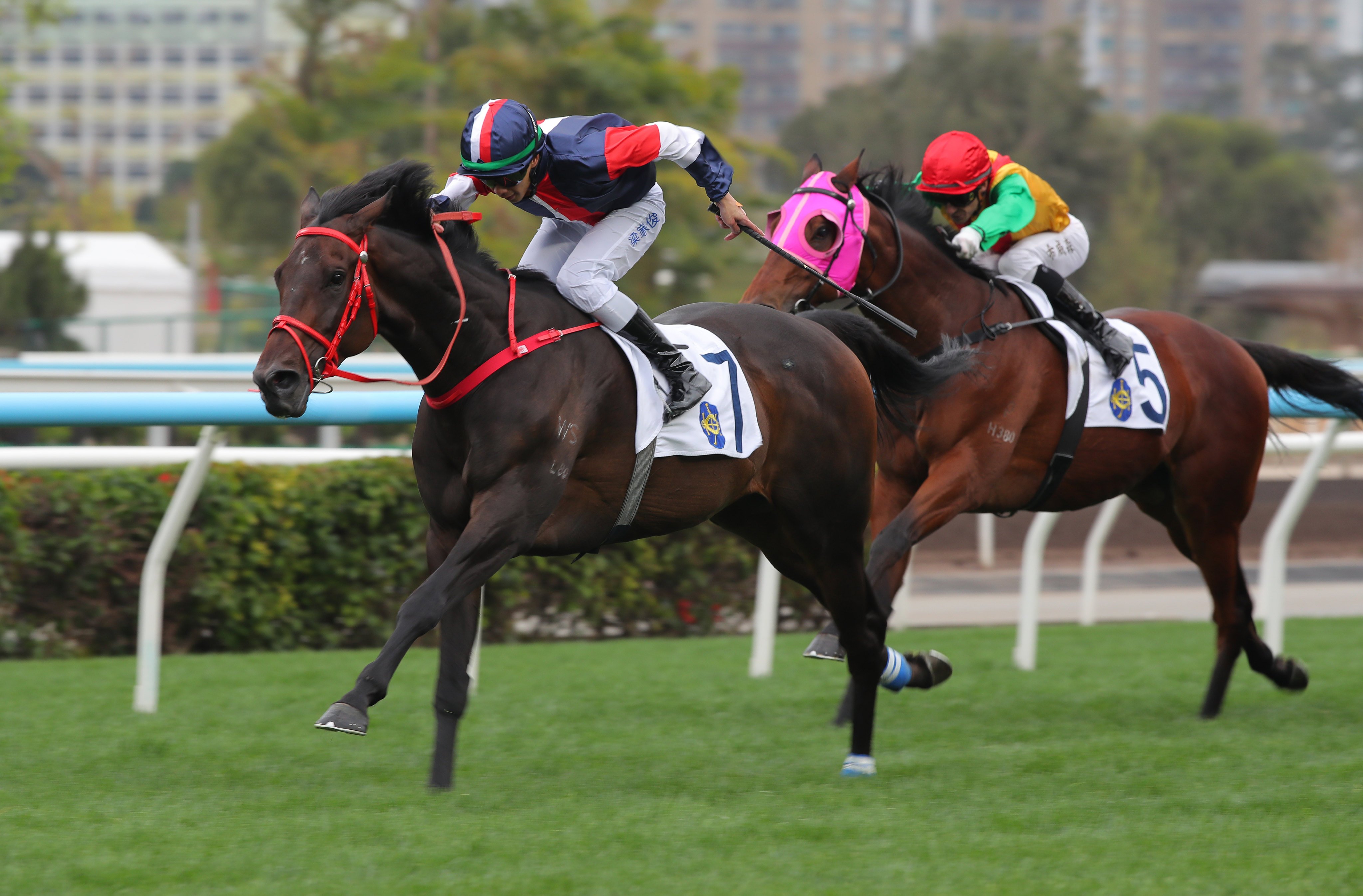 Numbers fends off his rivals to win the Centenary Vase under Derek Leung. Photos: Kenneth Chan