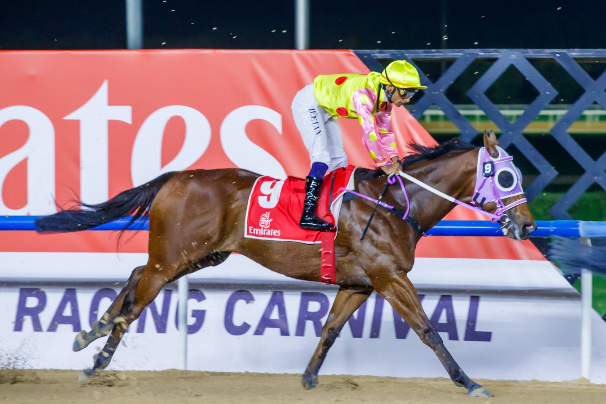 Sing Dragon finished eighth at Meydan on Saturday night with Karis Teetan on board. Photo: HKJC Sing Dragon finished eighth at Meydan on Saturday night with Karis Teetan on board. Photo: HKJC