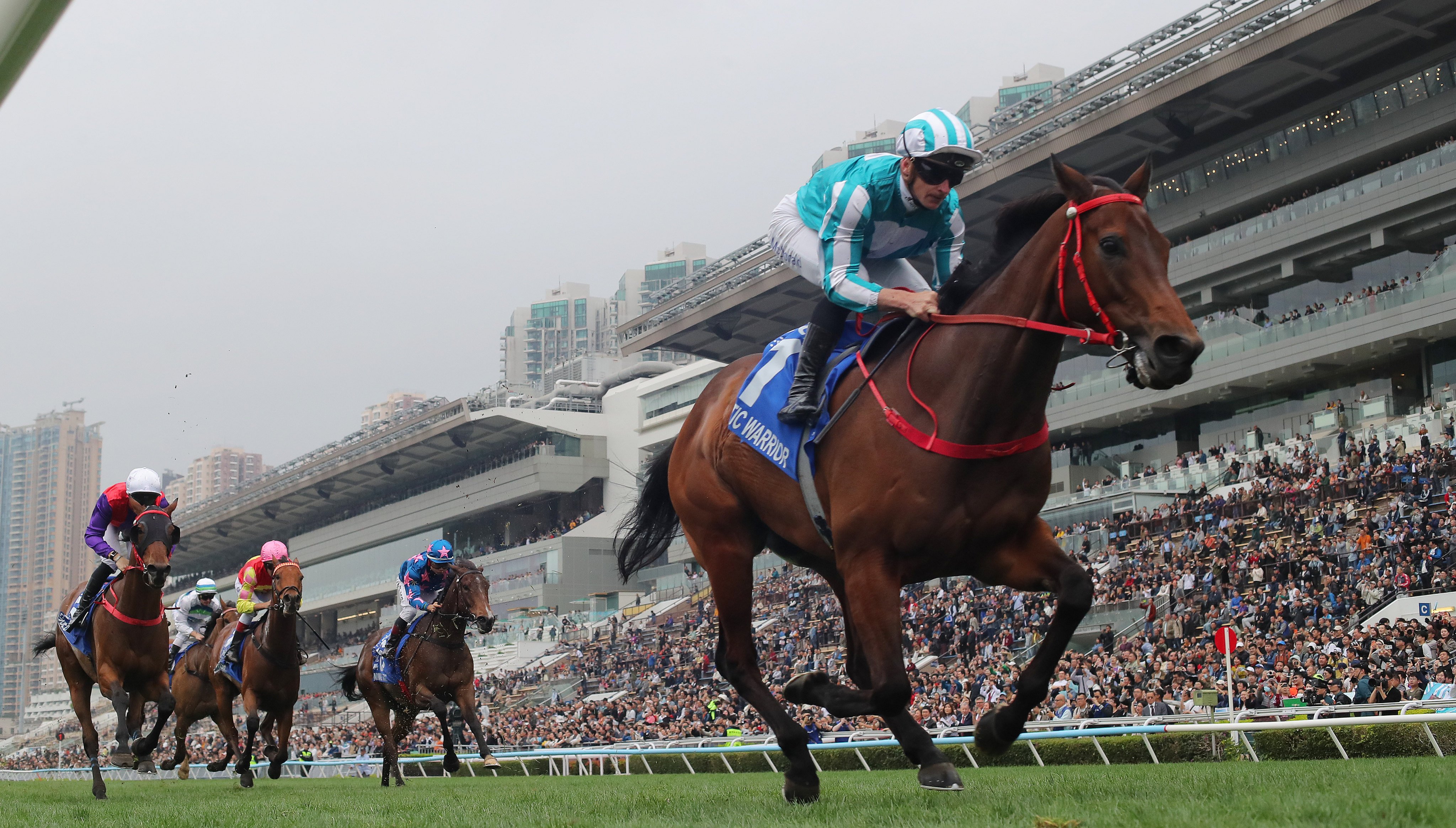 Romantic Warrior cruises home at Sha Tin. Photos: Kenneth Chan