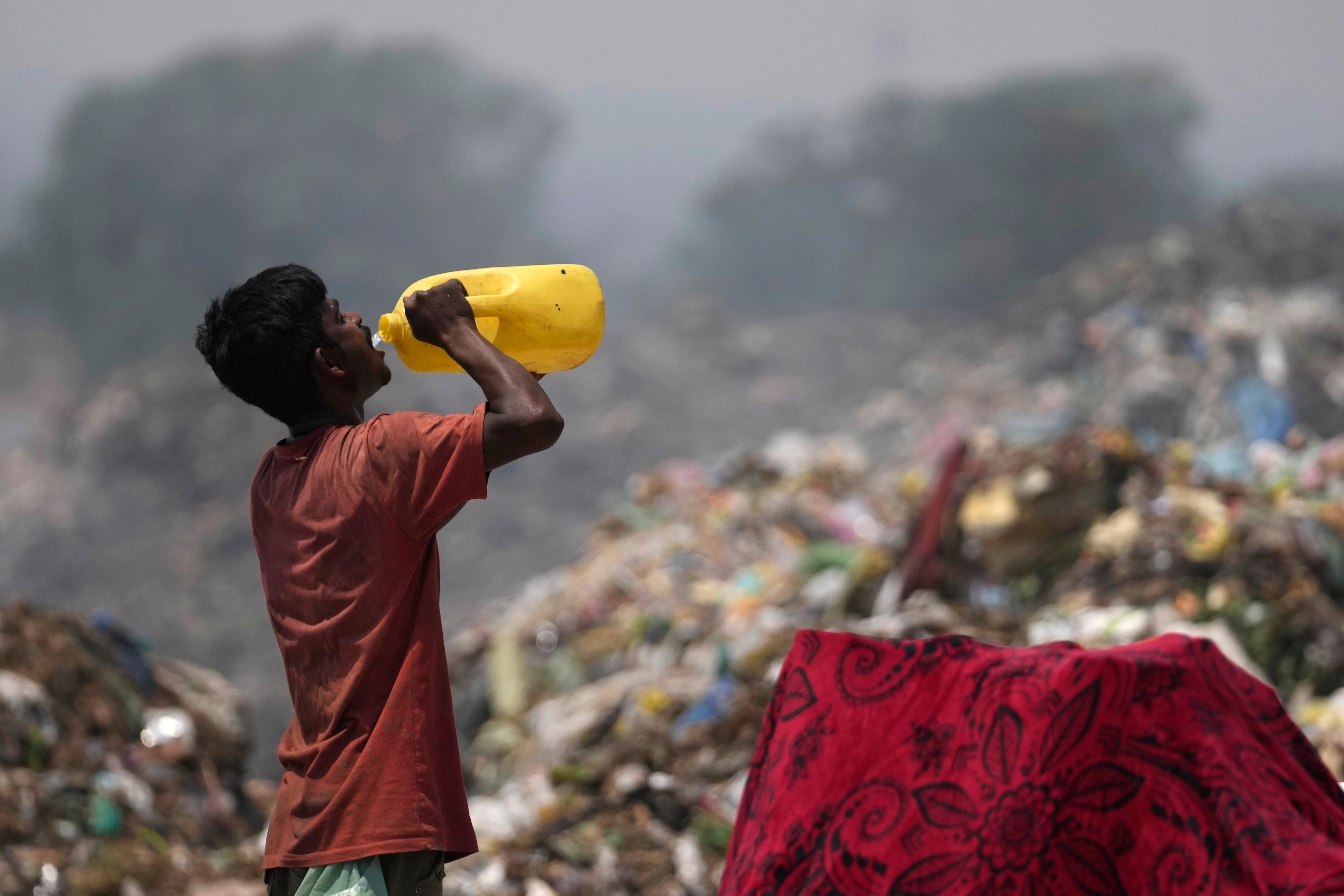 A waste picker drinks water while working at a rubbish dump on the outskirts of Jammu, India, during a heatwave in 2024. Photo: AP