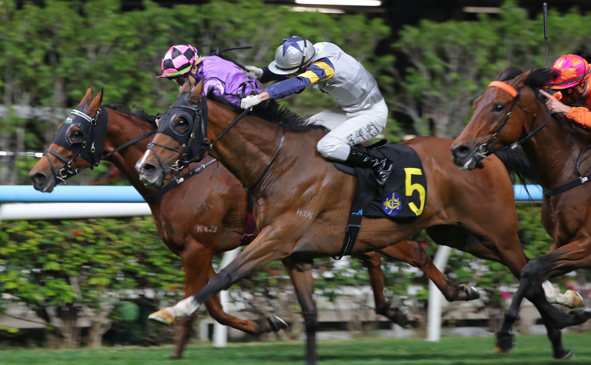 Withallmyfaith (inside) narrowly finishes third to Mr Dapper at Happy Valley last start.