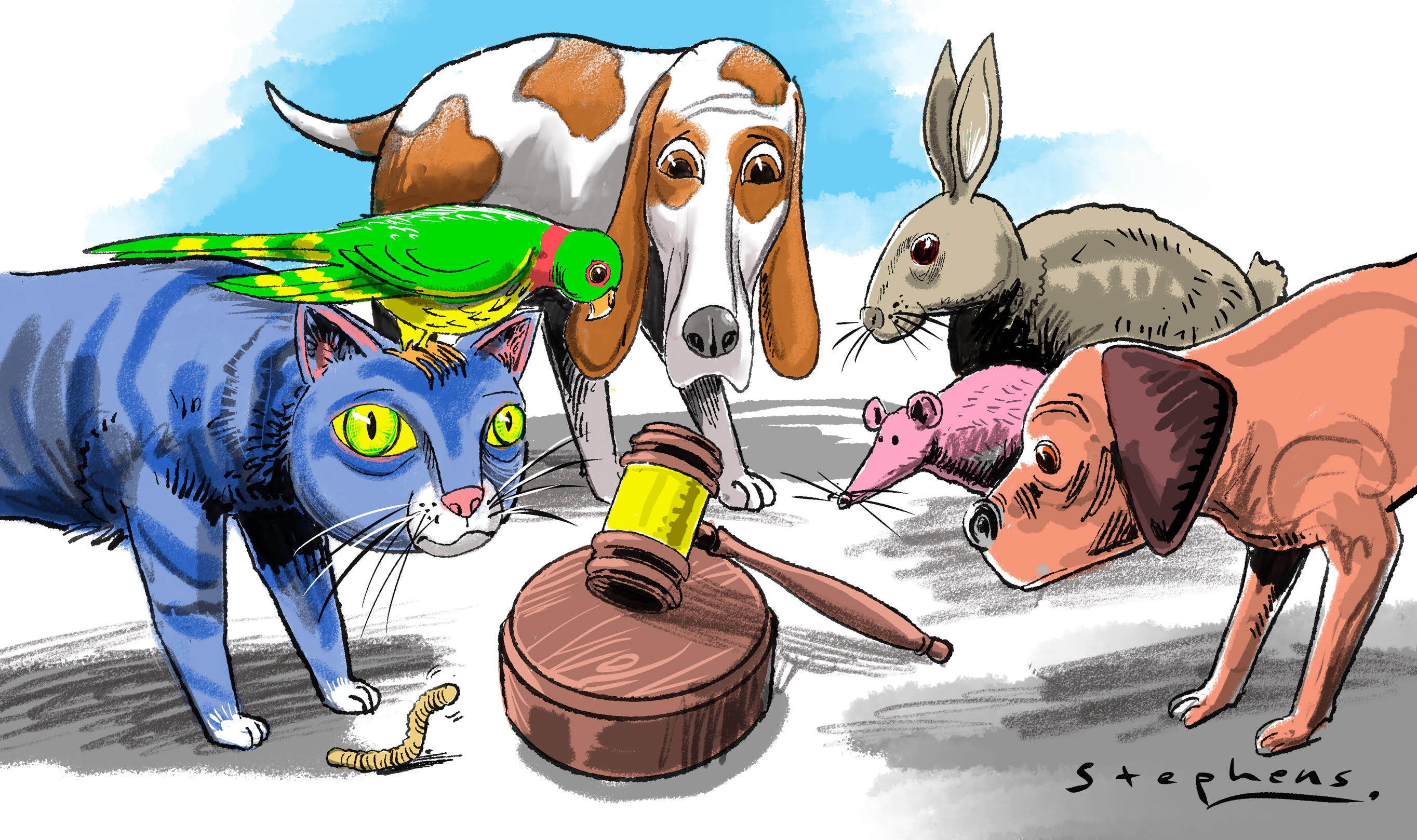 Illustration: Craig Stephens