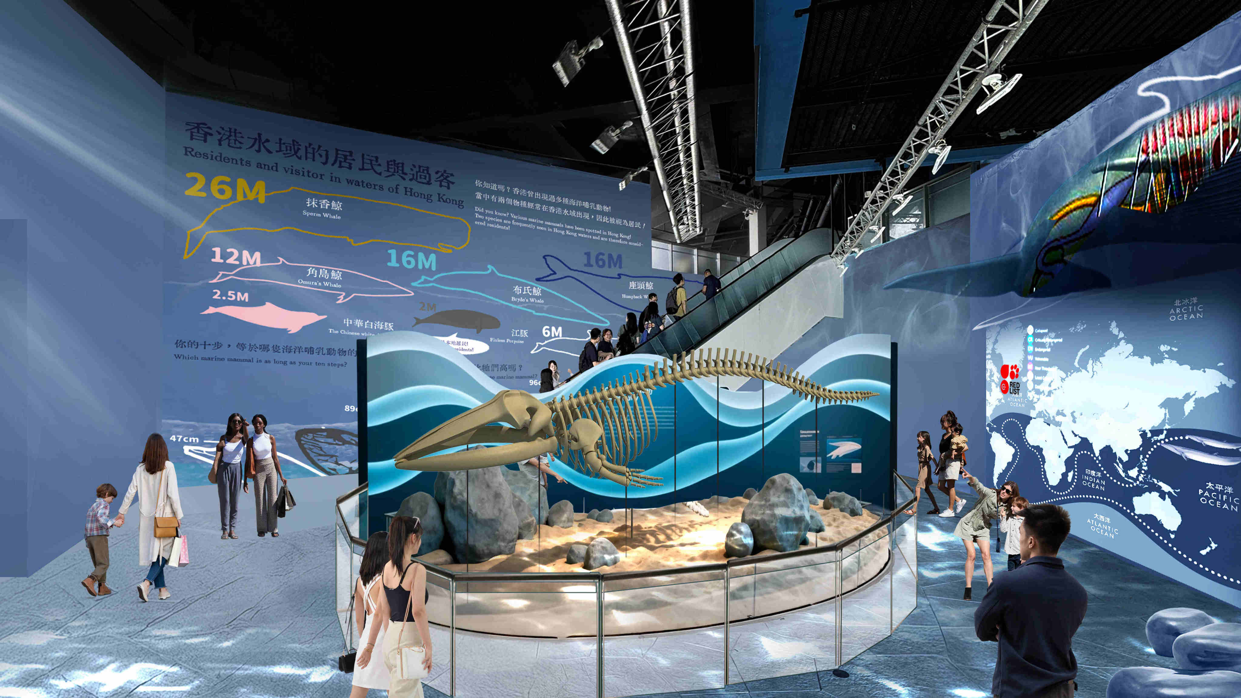 Ocean Park will transform its North Pole Encounter zone into a new marine mammal conservation centre. Photo: Handout
