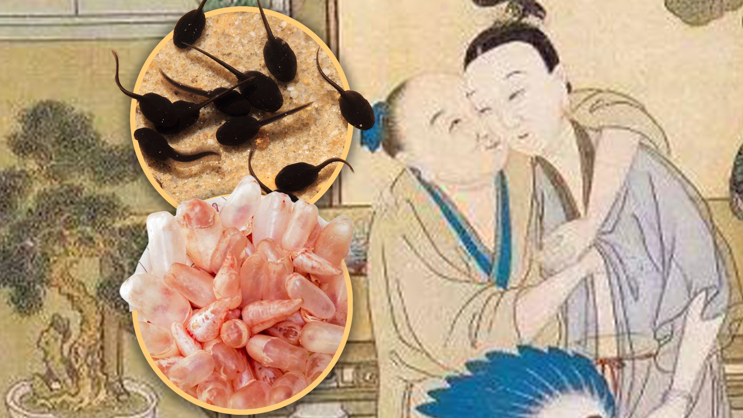 Over 3,000 years ago, ancient Chinese women faced harsh realities when preventing pregnancy, turning to dangerous remedies. Photo: SCMP composite/Shutterstock/Sohu/Douyin