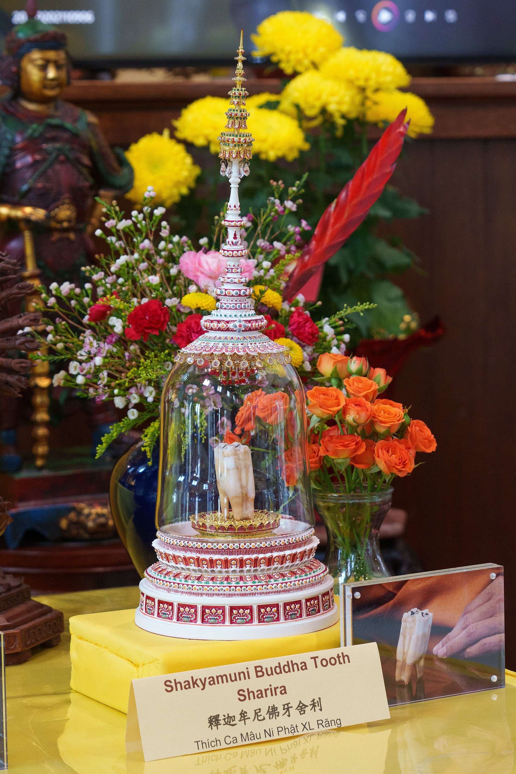 The Shakyamuni Buddha Tooth is displayed at the Wei Mountain Temple in Rosemead, California, on February 17, 2026. Buddhist relics like these are revered by followers of Buddhism, providing connections to the Buddha and other revered monks. Photo: AP