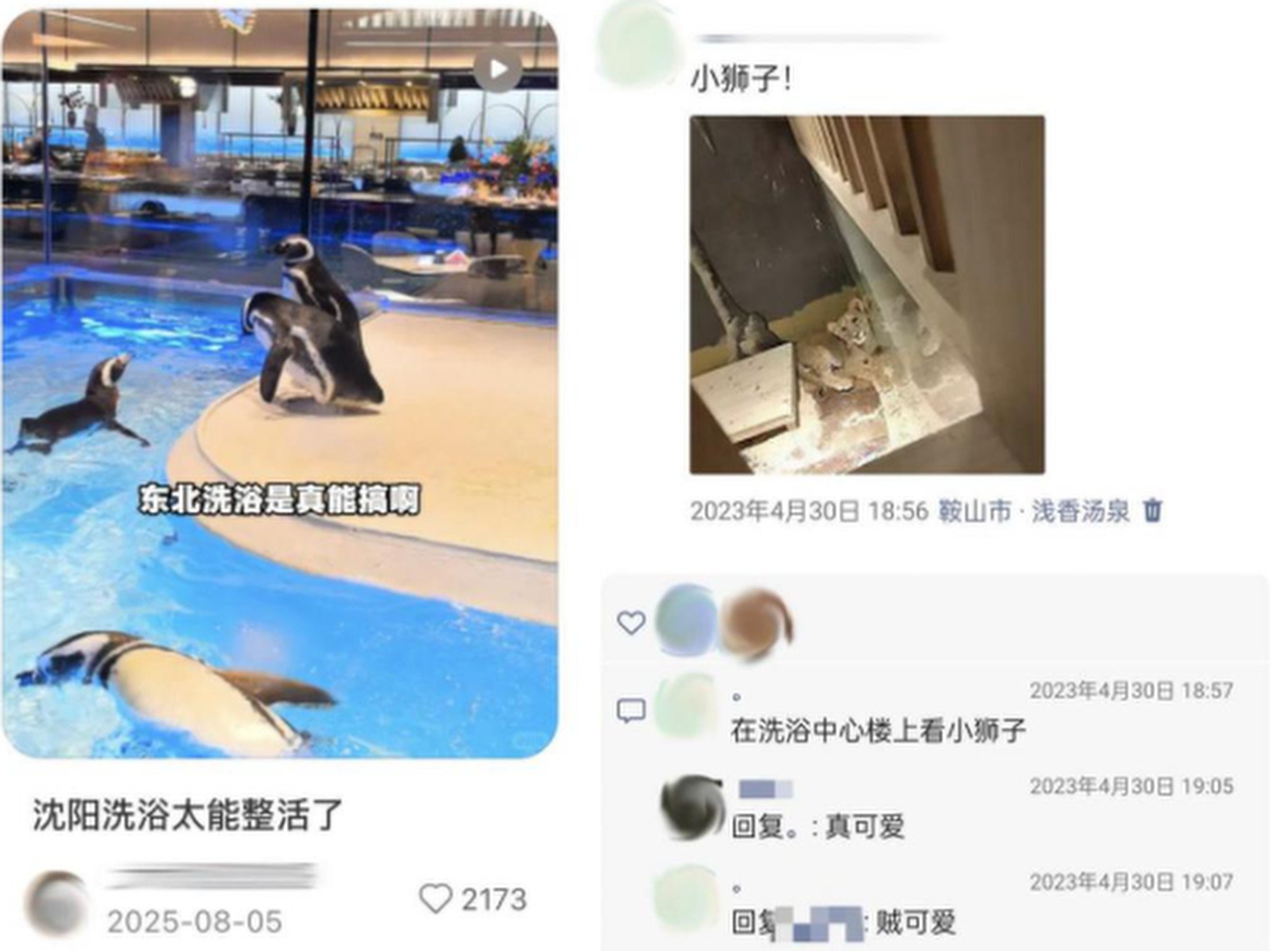 Some establishments have even incorporated animals into the bathing experience, with reports of guests encountering penguins, lions, and lizards during their visits. Photo: RedNote