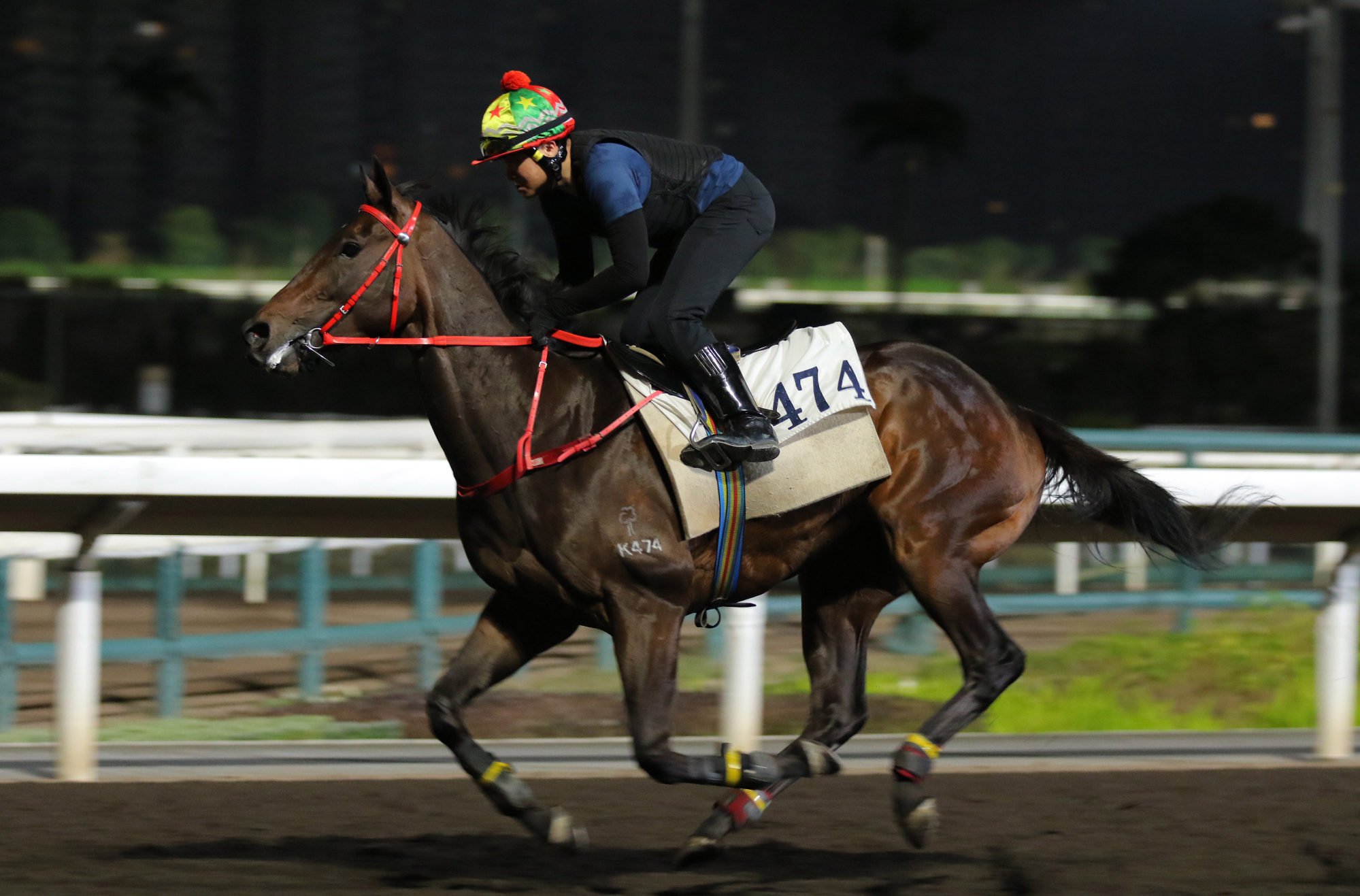 Smart Avenue gallops on the Sha Tin dirt.