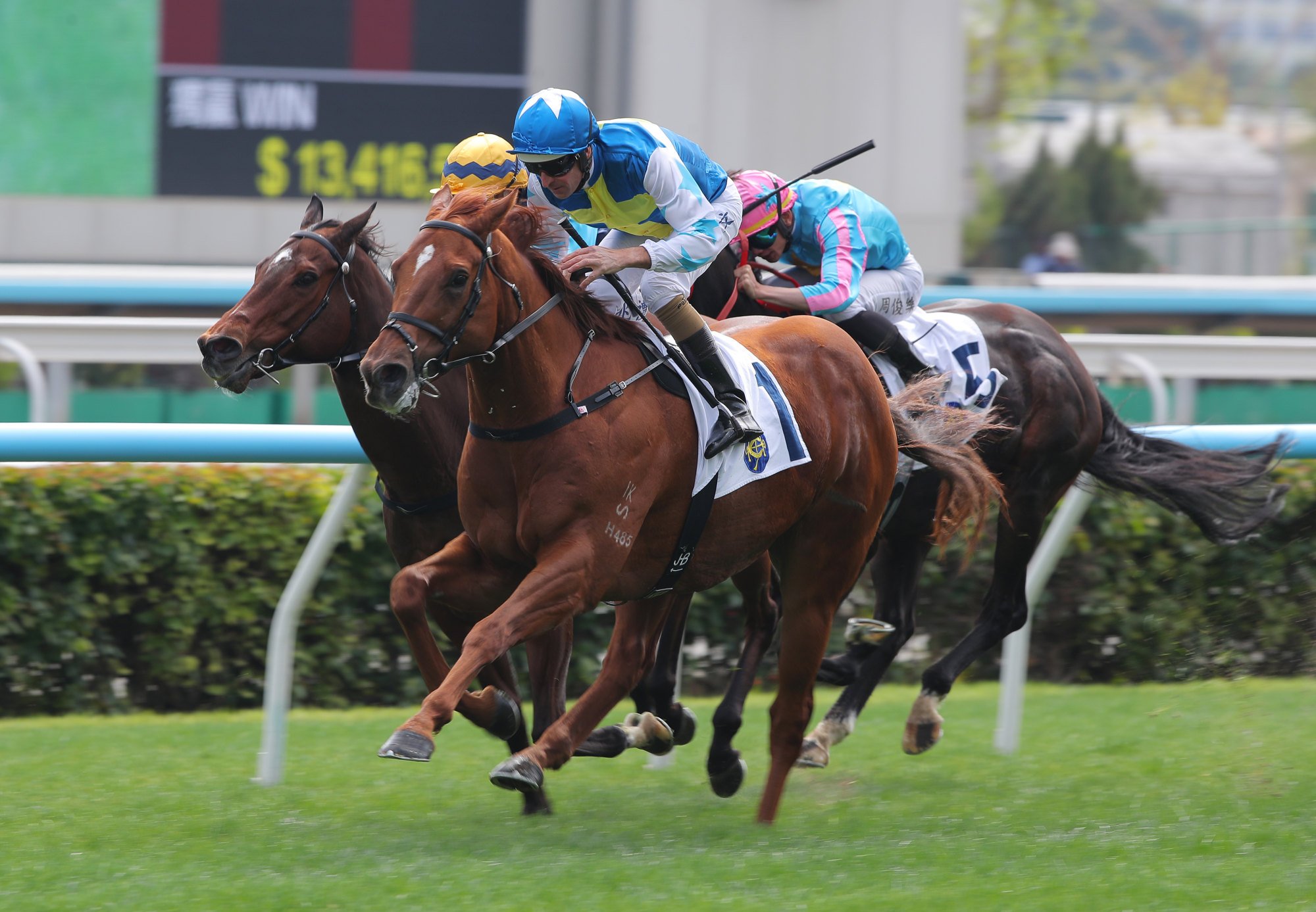 Patch Of Theta wins a Class One contest at Sha Tin last month.