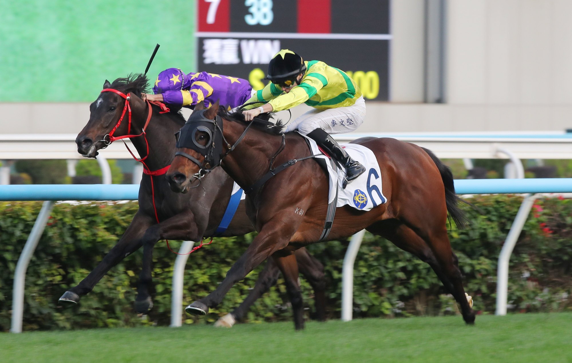 Super Express (far) battles on well to a recent second at Sha Tin.