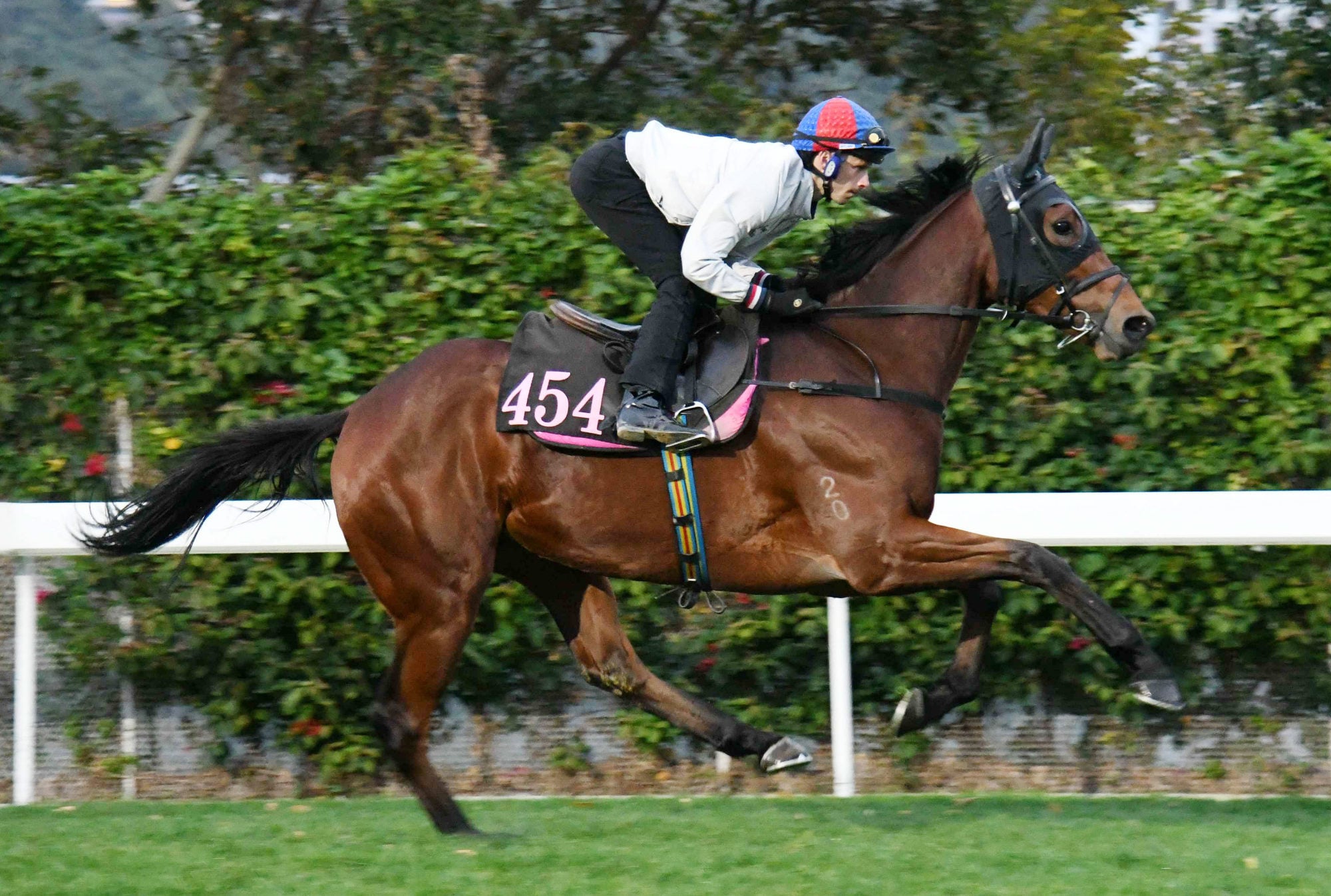 Lyle Hewiston takes Packing Angel for a spin around Sha Tin.