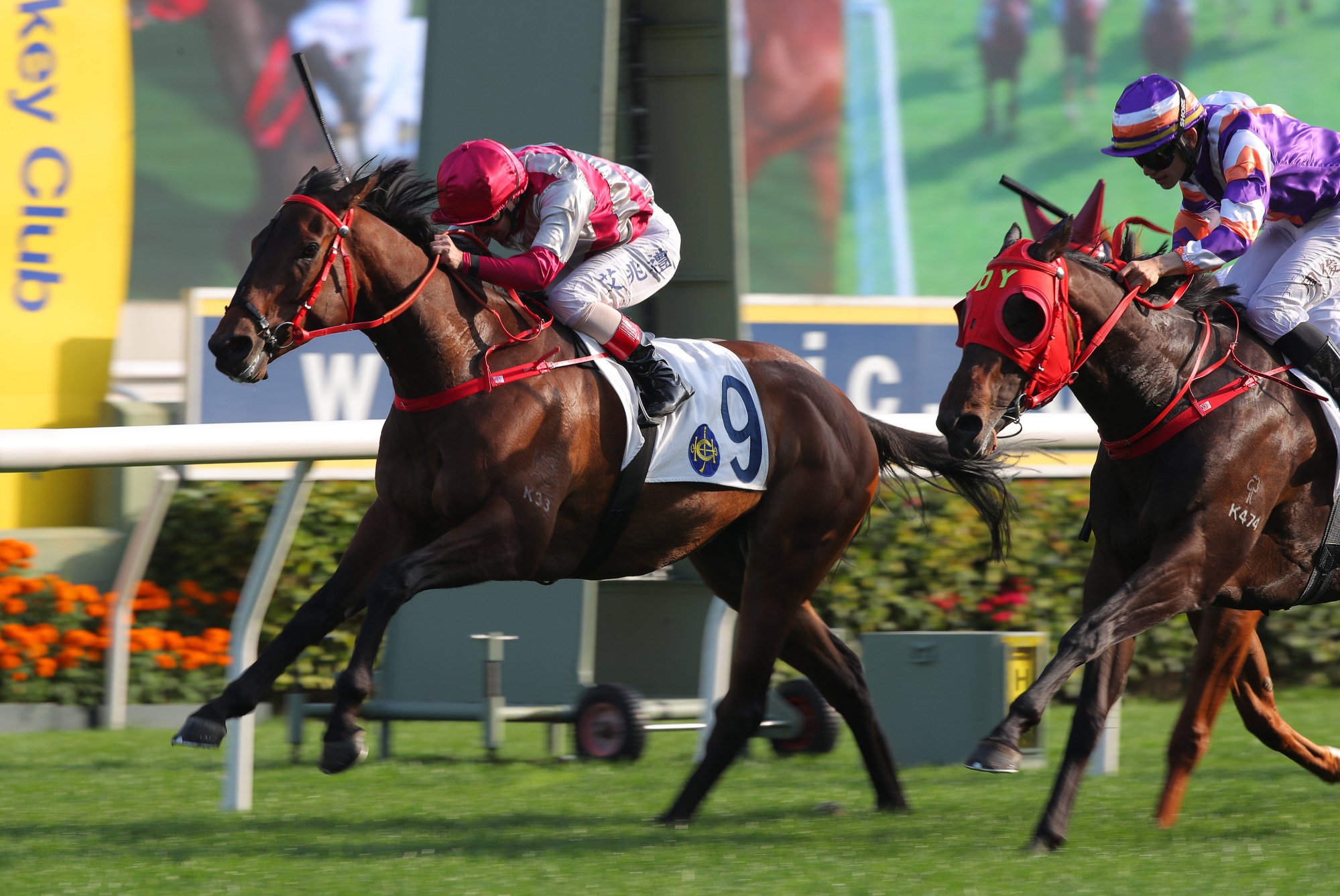 Endued wins at Sha Tin. Endued wins at Sha Tin.