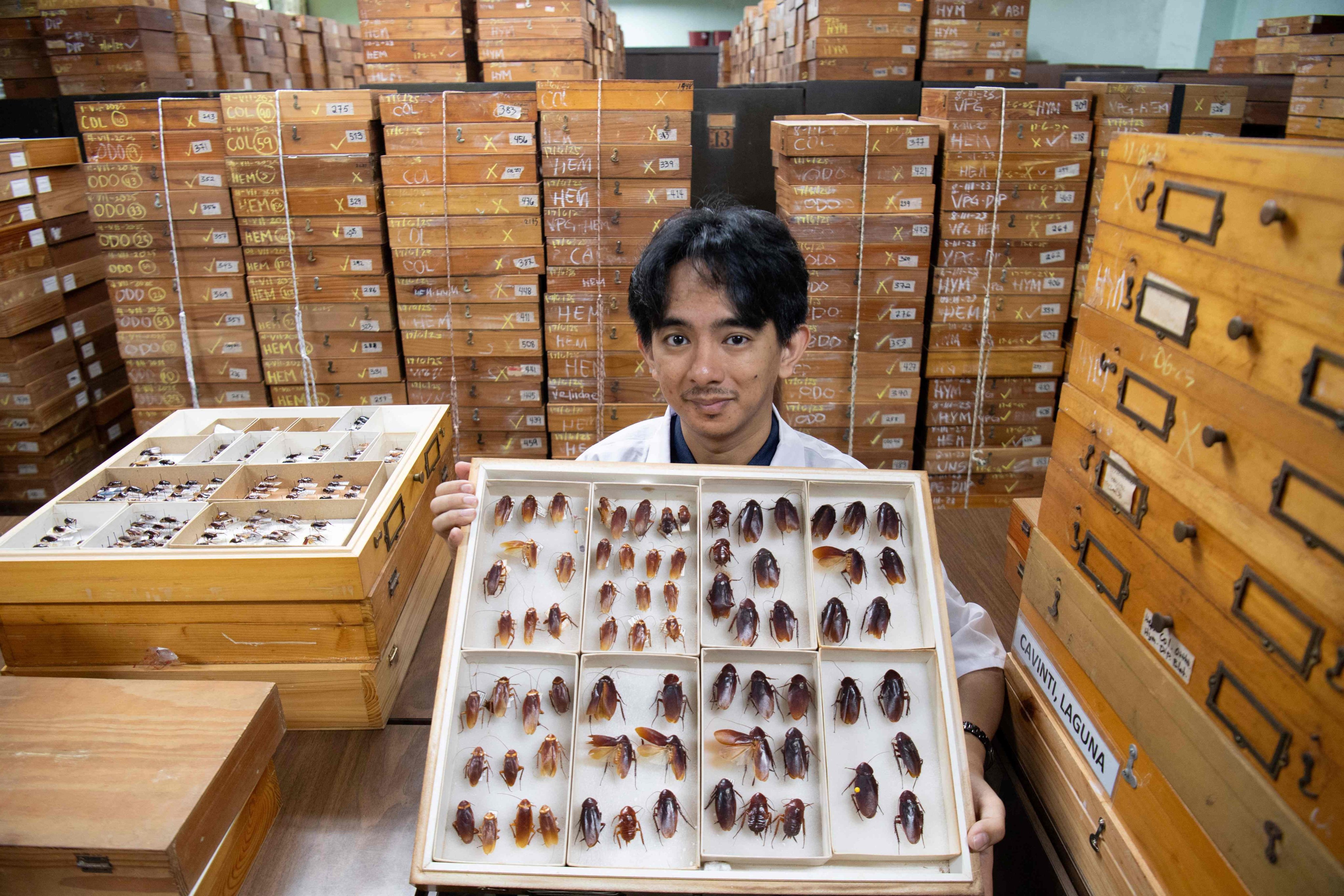 Cristian Lucanas, an entomologist from the University of the Philippines Los Banos, shows preserved specimens of cockroaches among troves inside a laboratory at the University of the Philippines in Los Banos town, south of Manila, on February 11. Photo: AFP