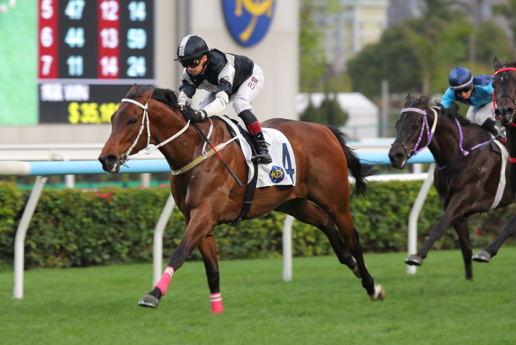 Winning Ovation wins at Sha Tin under Alexis Badel.