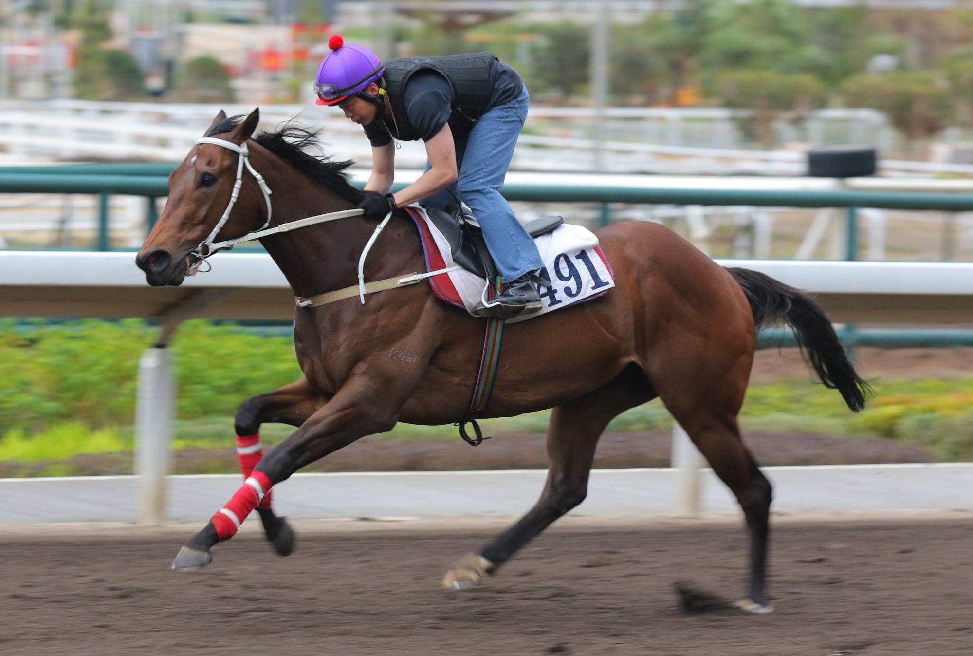 Beauty Bolt gallops on the dirt.