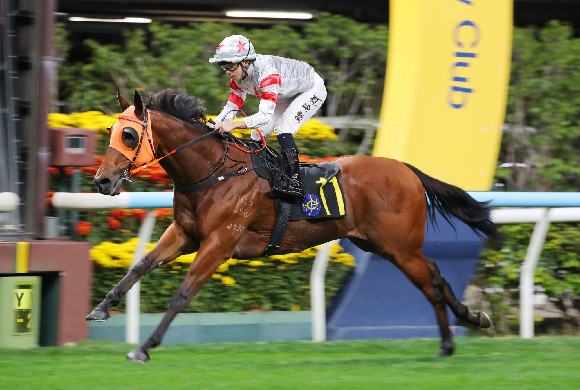 Macanese Master is victorious over 1000m at Happy Valley.