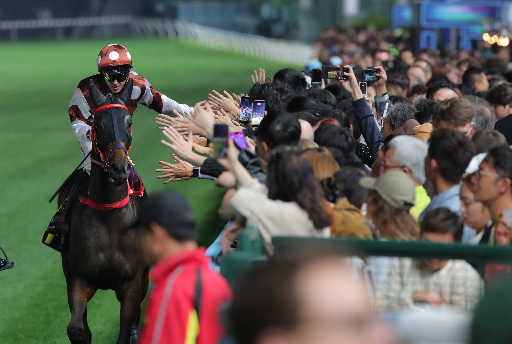 Dylan Browne McMonagle celebrates his victory on Sight Hermoso with the Valley crowd.